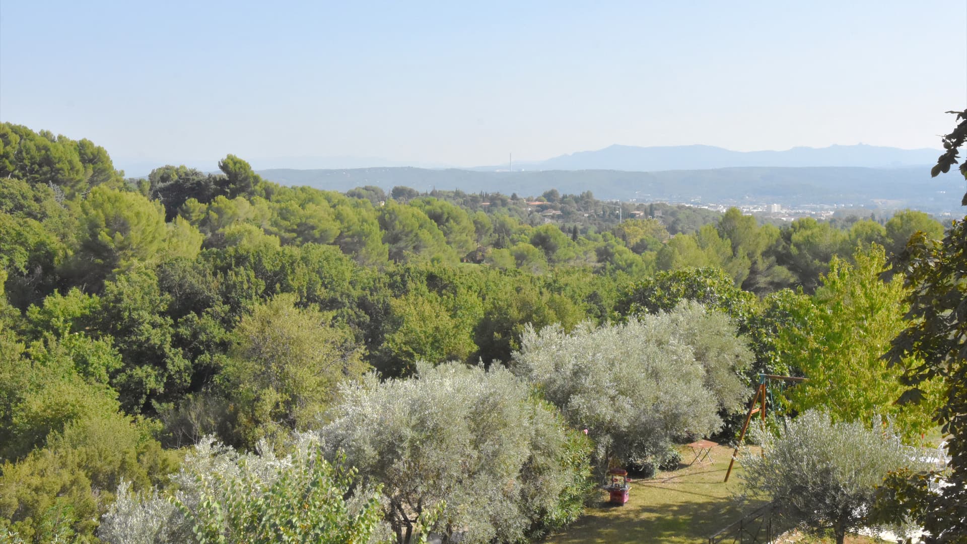 Panorama