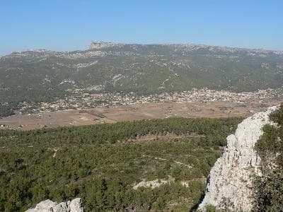 13VIS000245_5_WEB.jpg