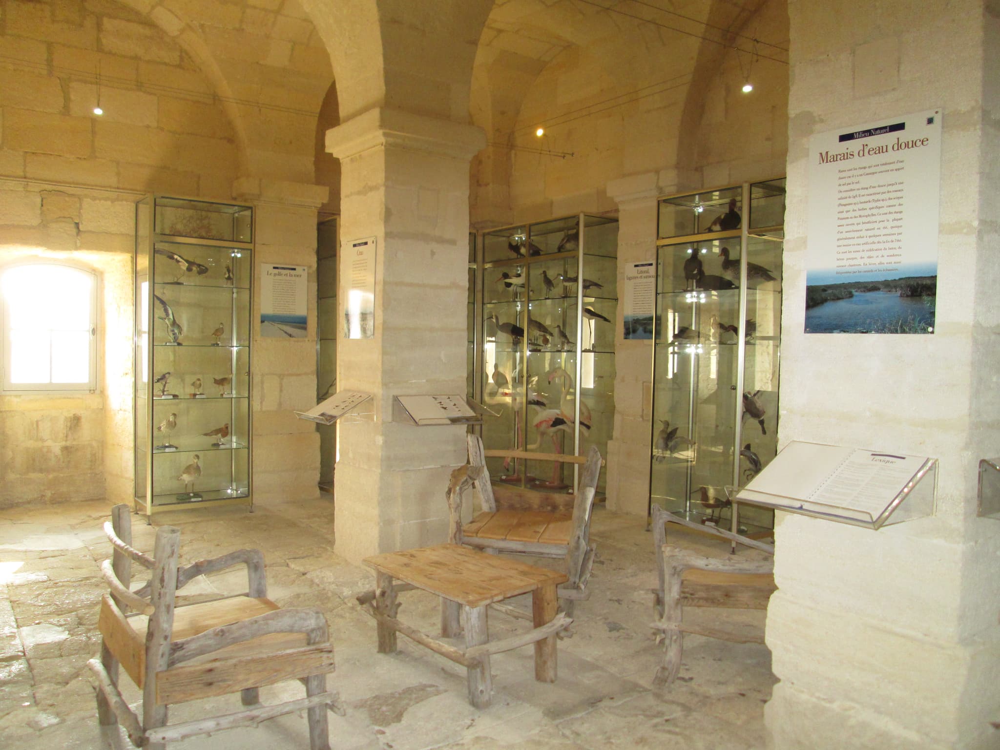 Plus grande collection ornithologique de Camargue dans la Tour Saint Louis