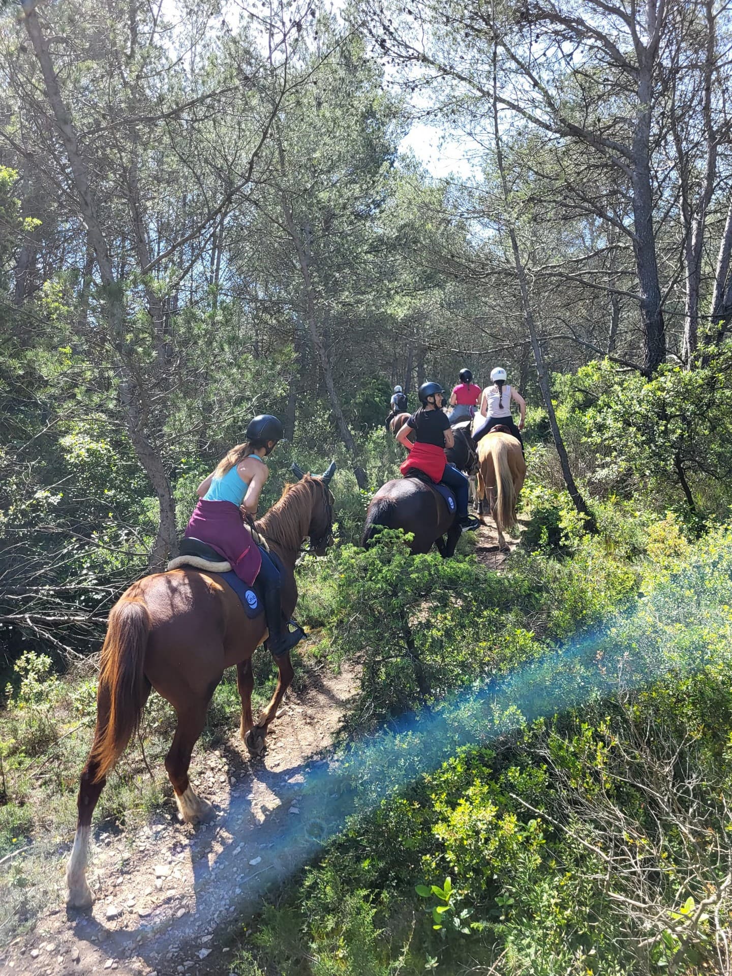 Chev'Alpilles - Balade à cheval à Saint-Rémy-de-Provence