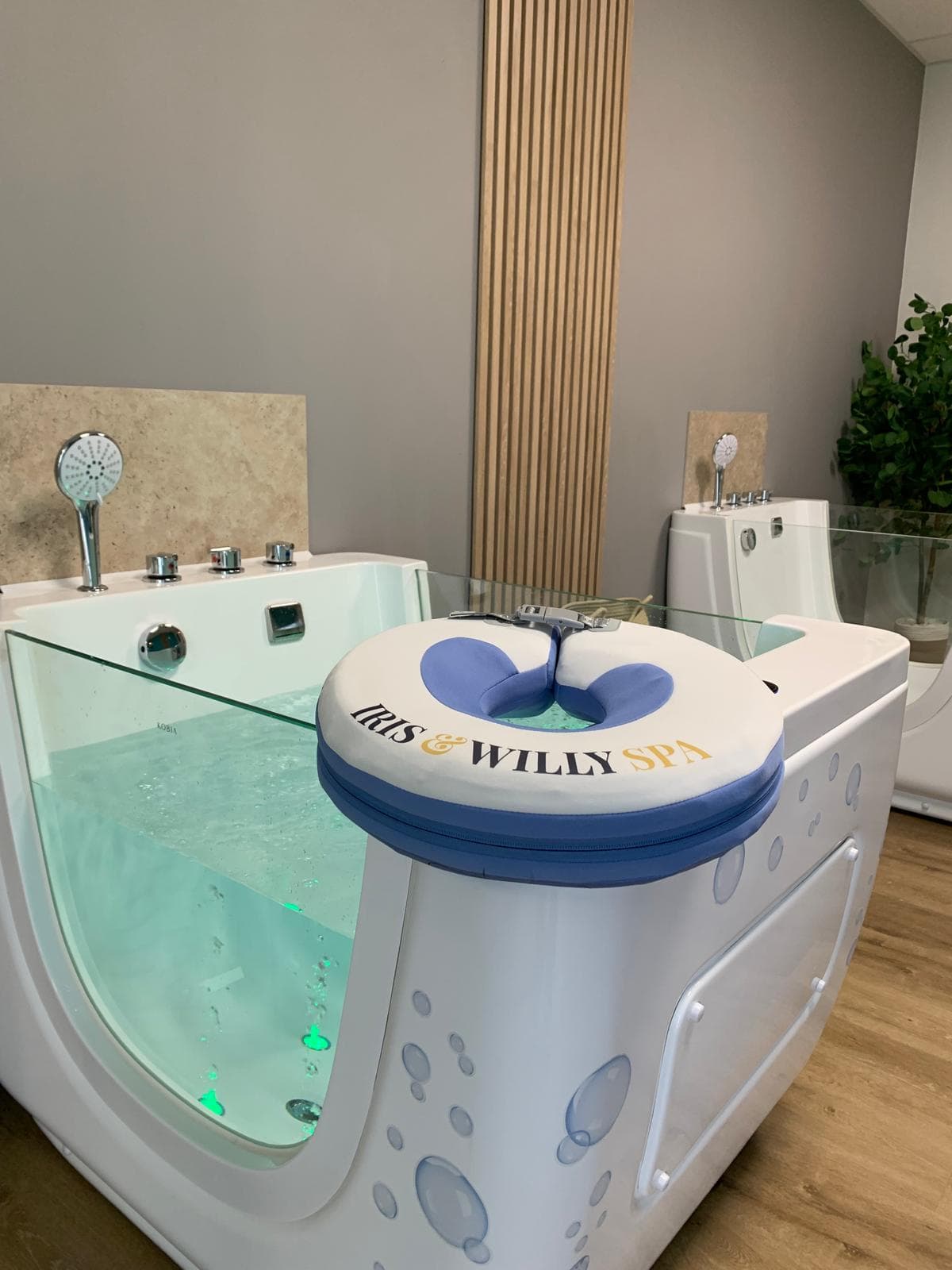 IRIS ET WILLY SPA_Sénas