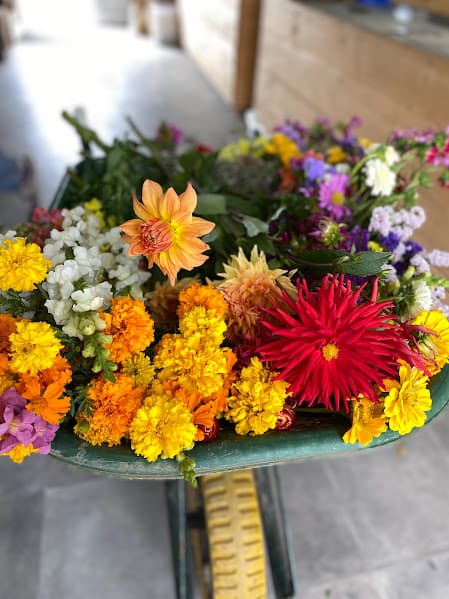 Brouette fleurs