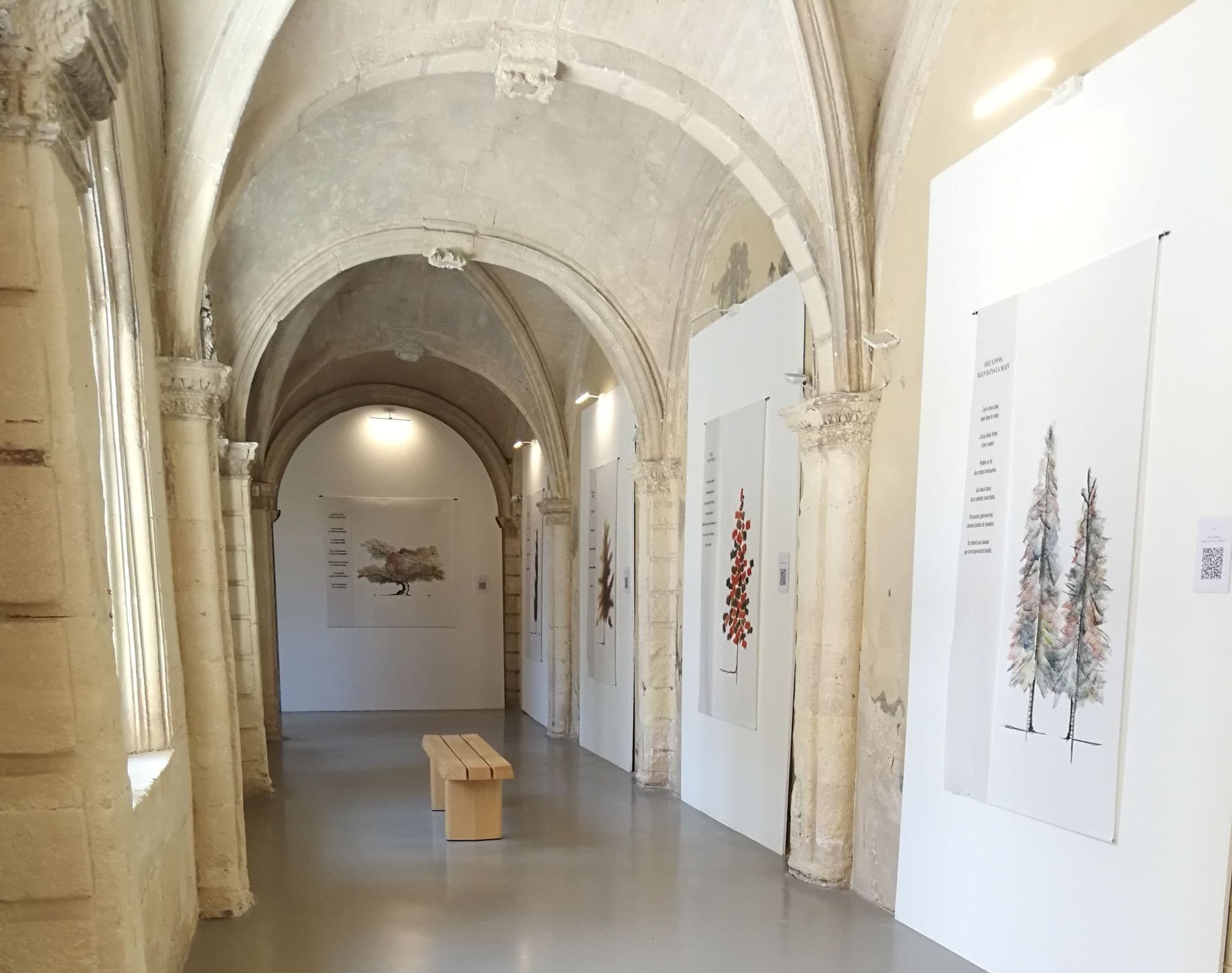 Les Cordeliers - Musée d'Art et d'Histoire_Tarascon