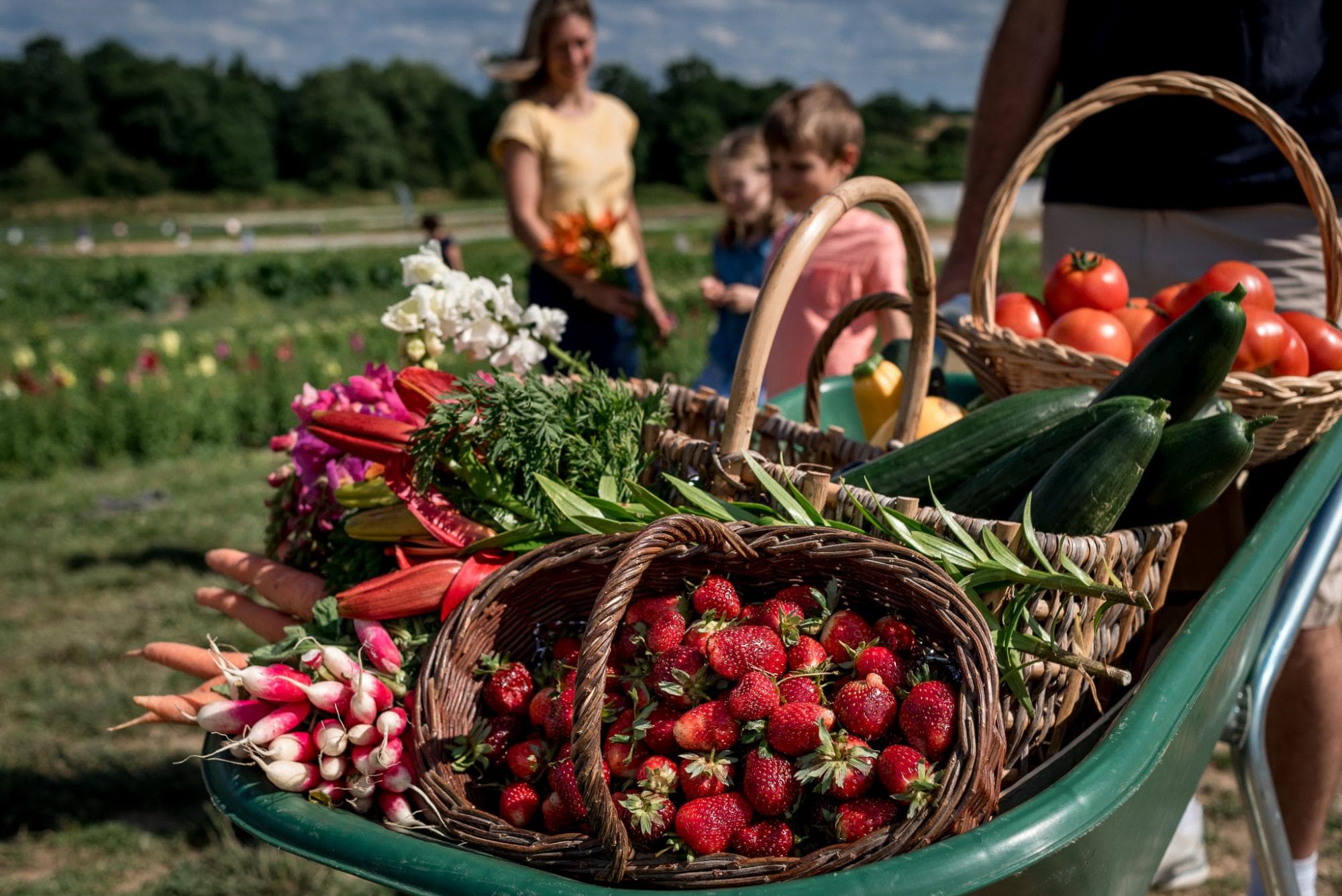 Brouette fruits et légumes