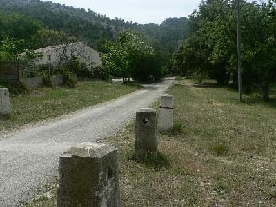 13VIS000237_1_WEB.jpg