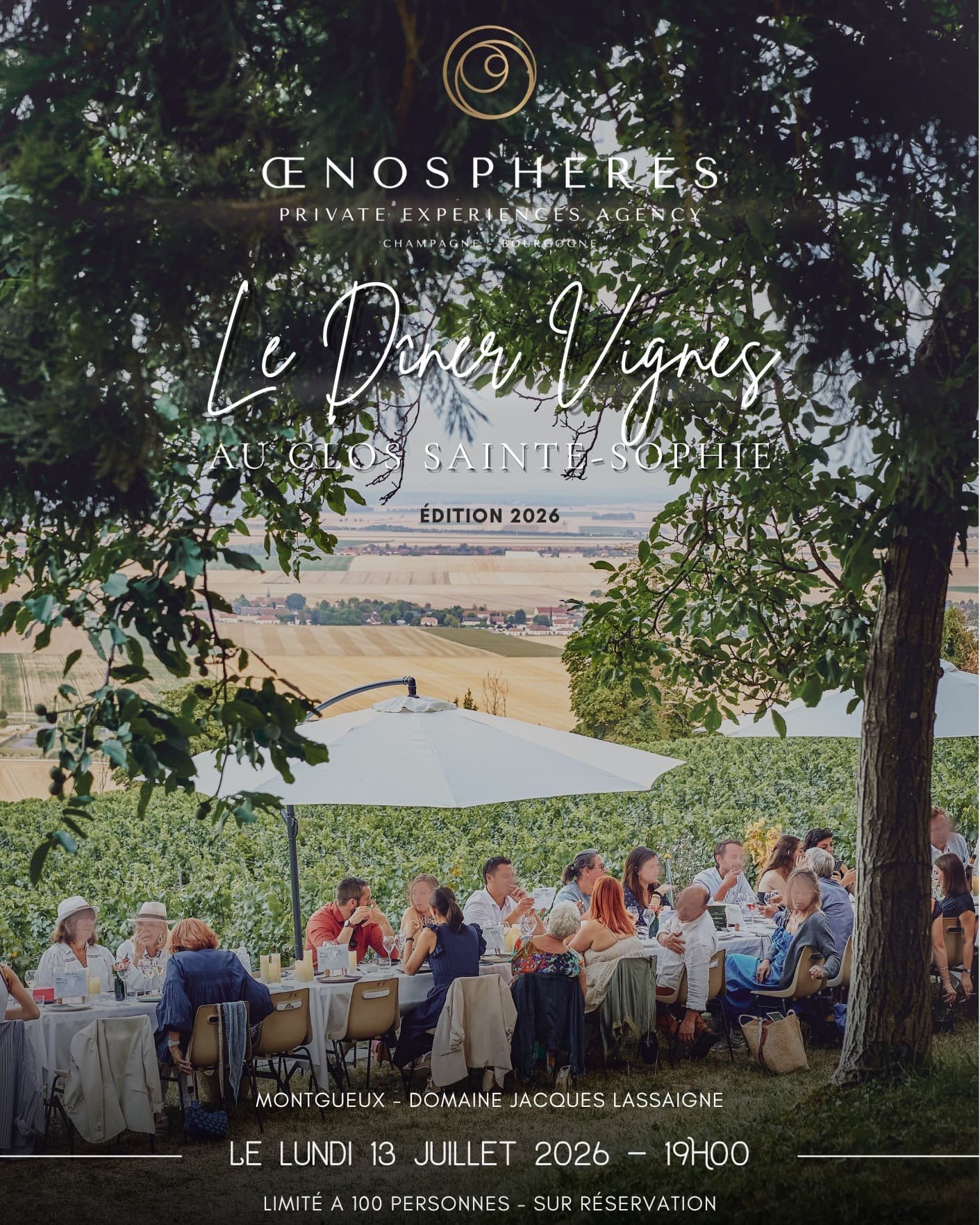 affiche le diner vignes