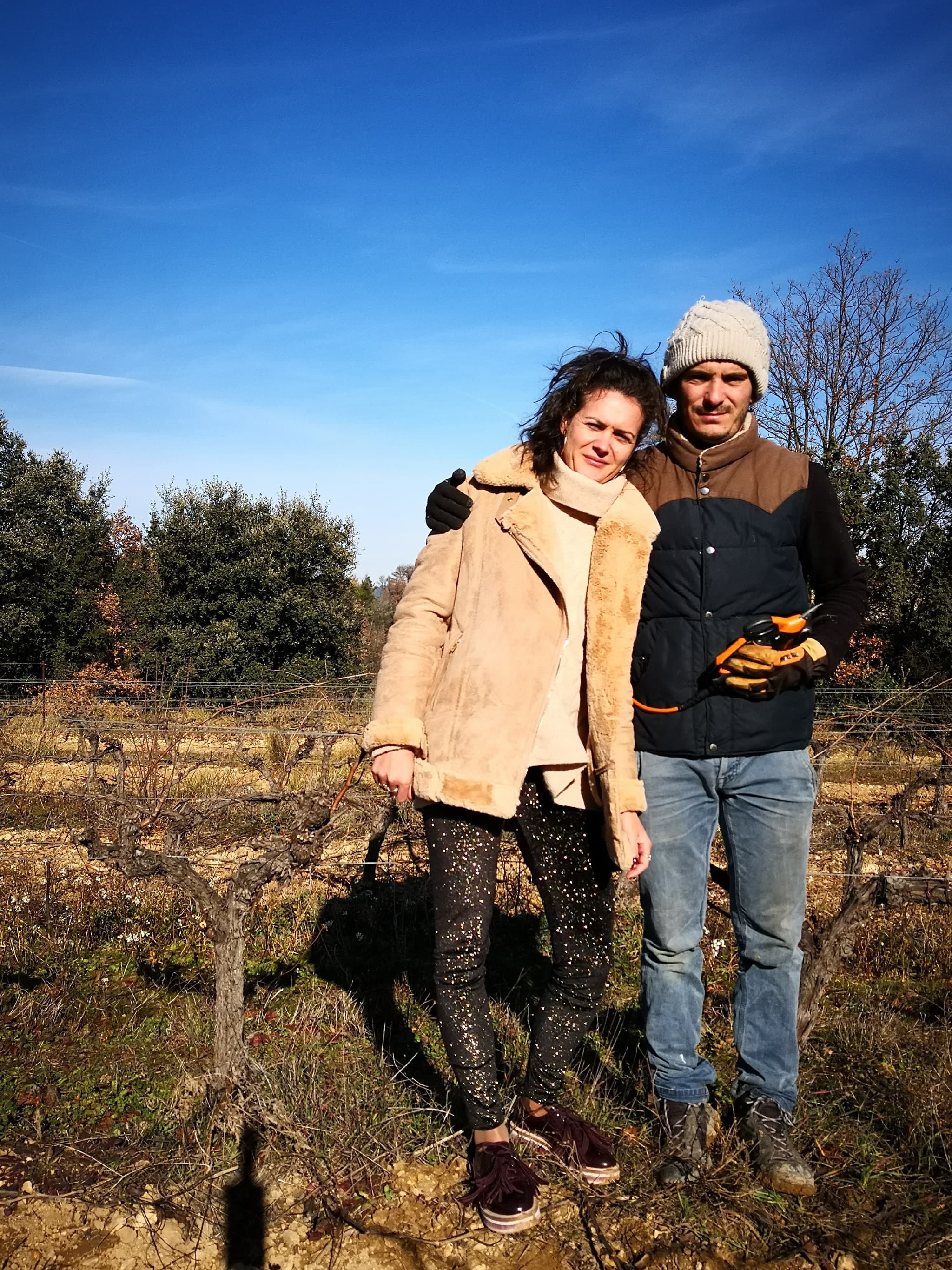 Villa Minna Vineyard