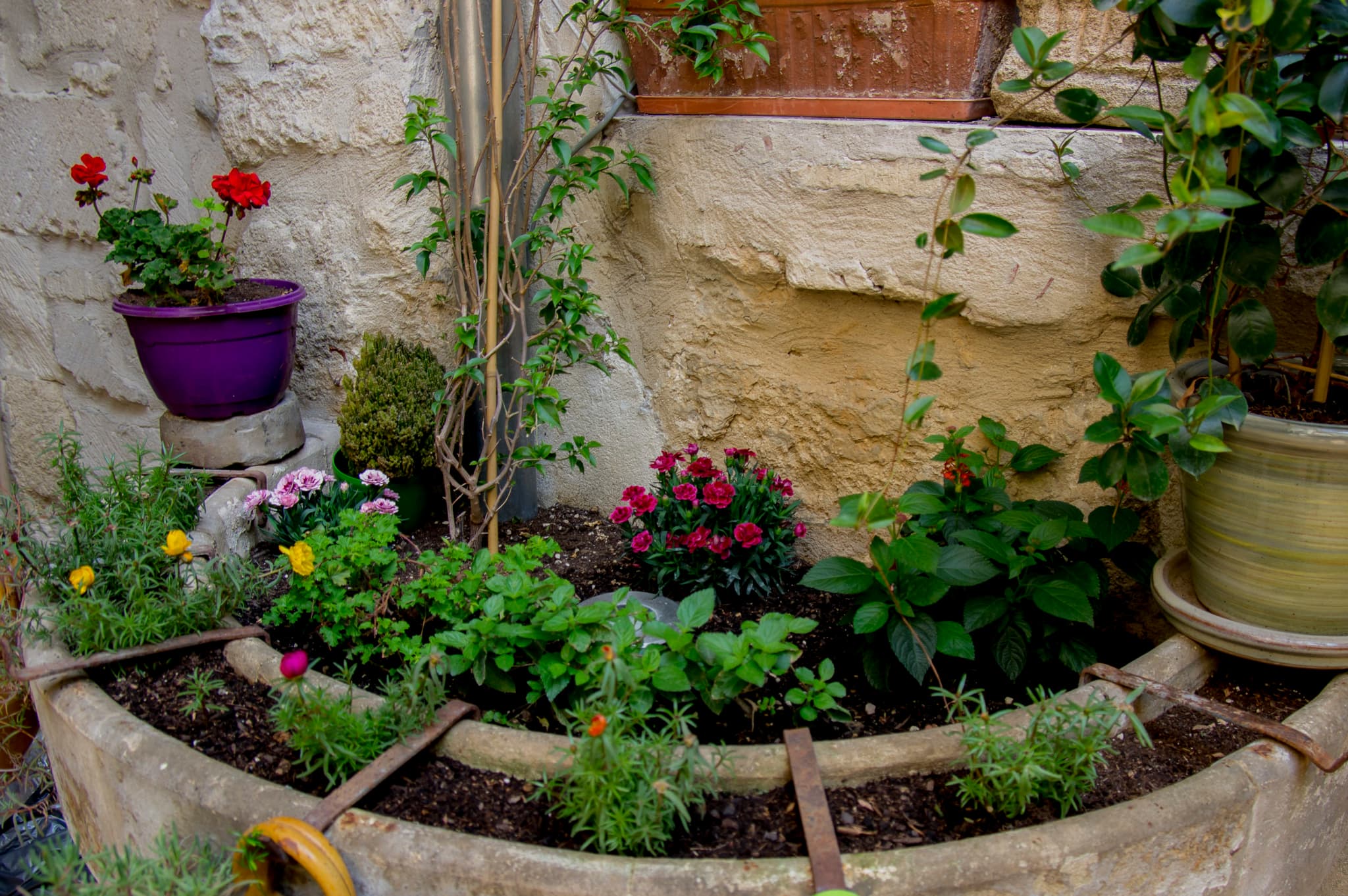 patio
