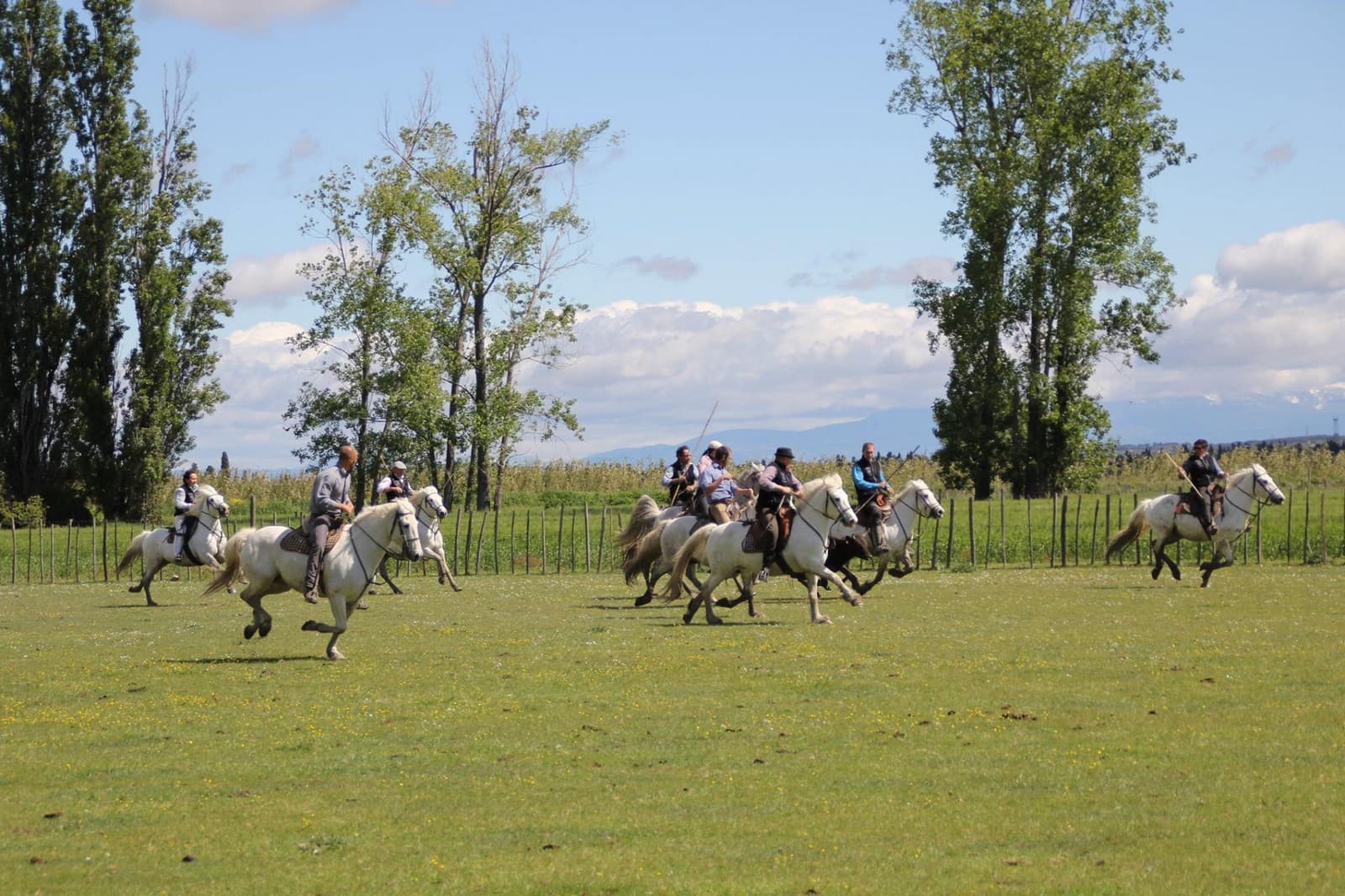 Manade Caillan