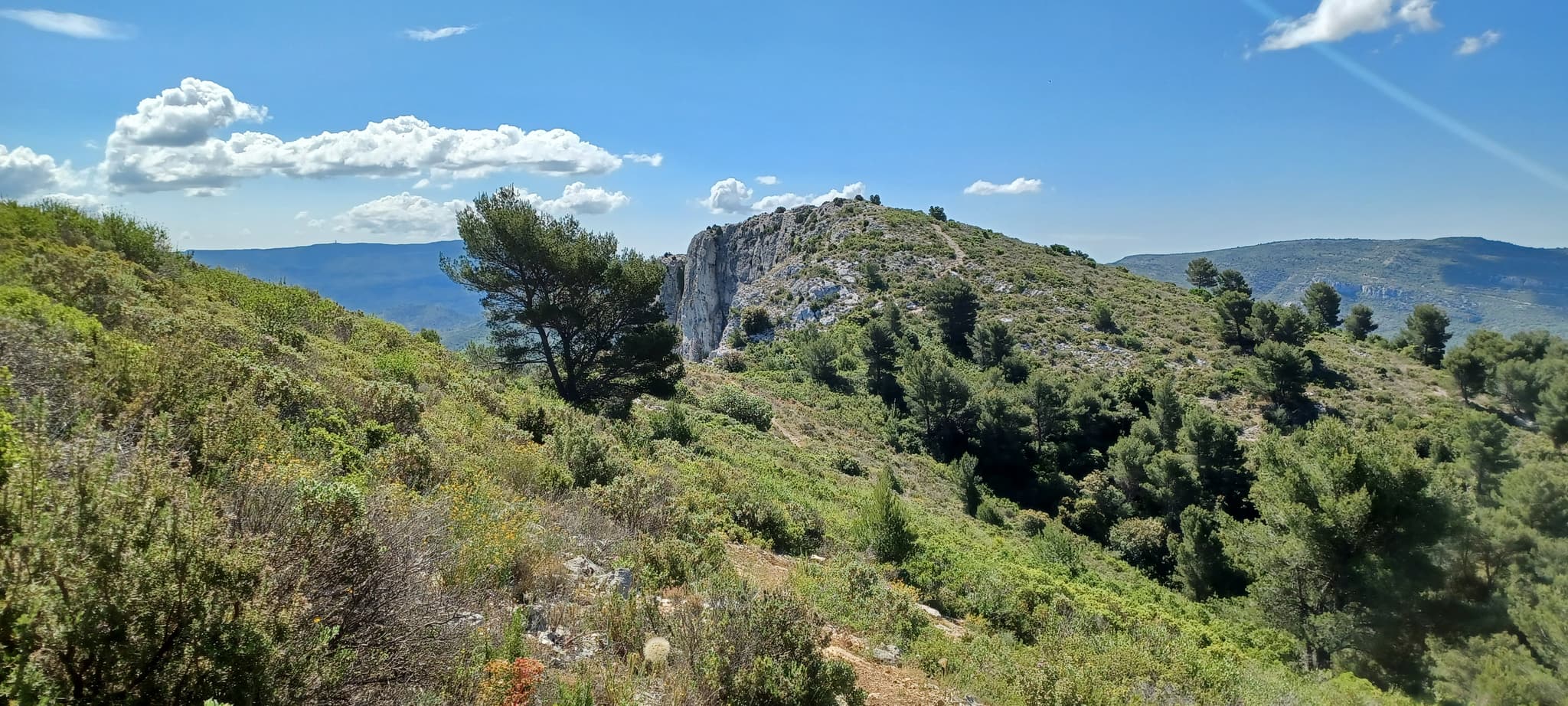 Trail Etoile Mont Julien