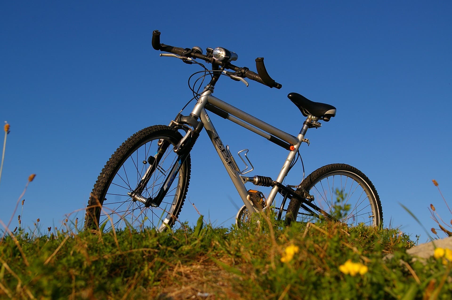 Relais du Bois sacré - Location de vélos