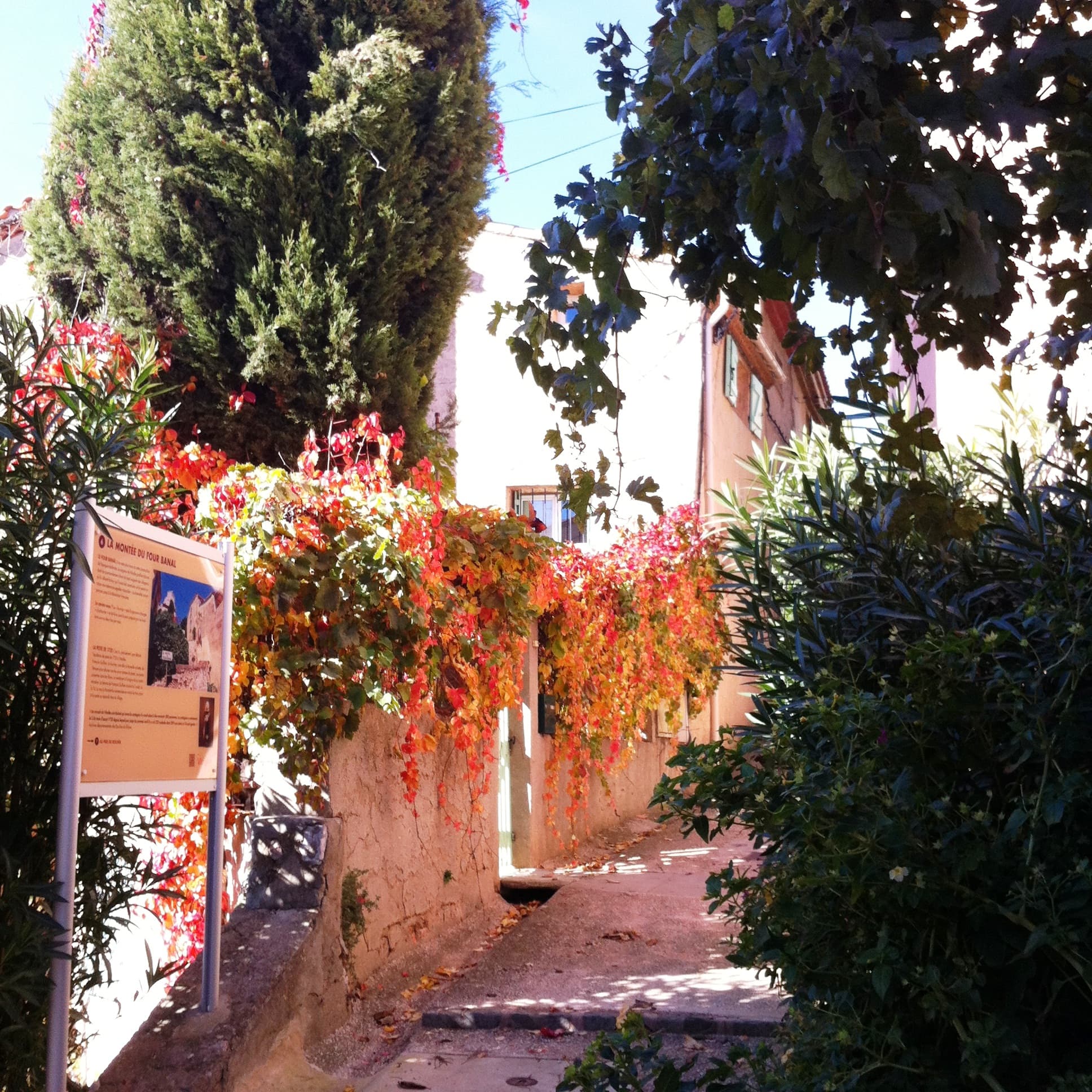 Découverte du Vieux Village