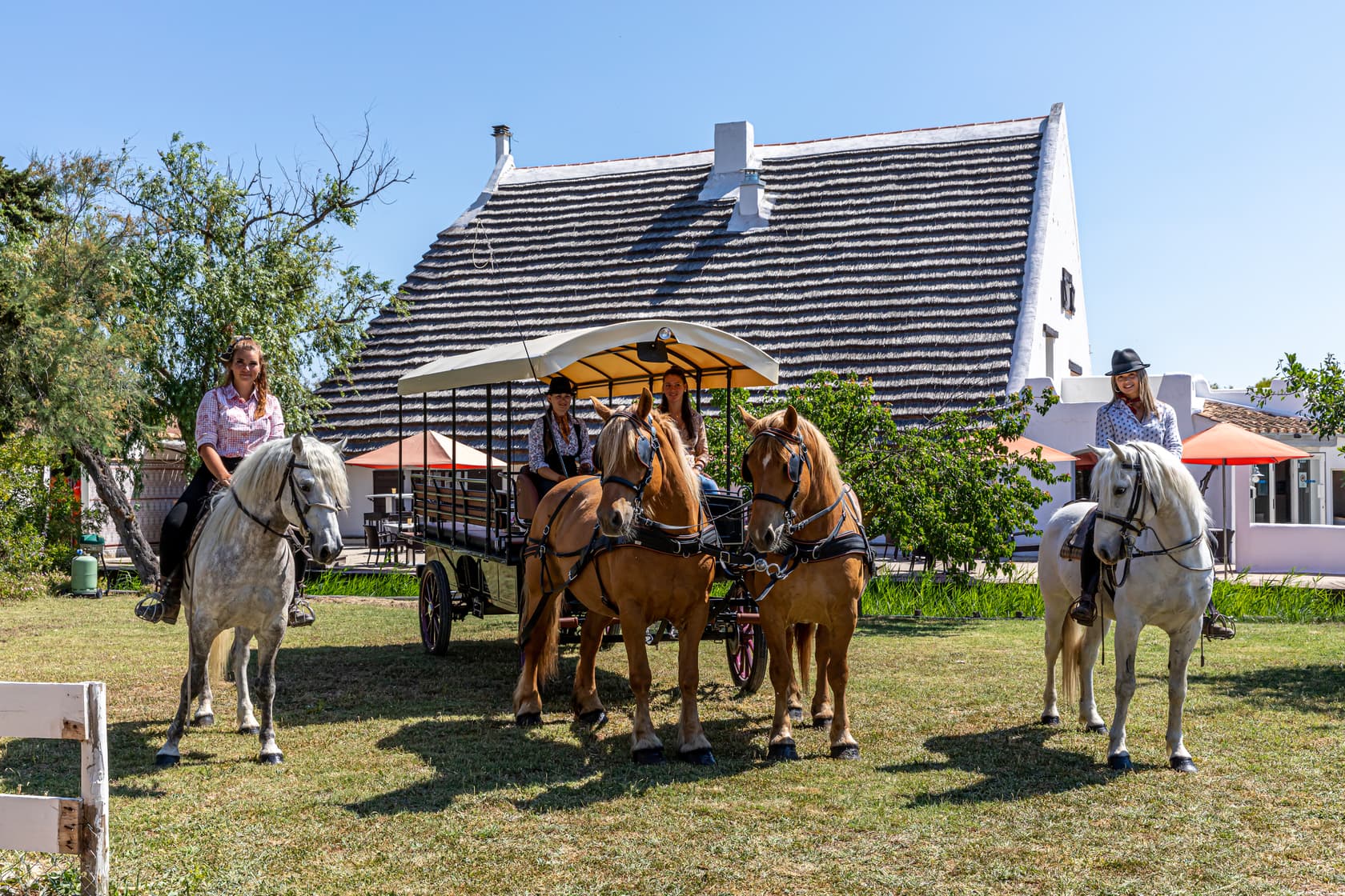 L'écurie de l'Auberge Cavalière