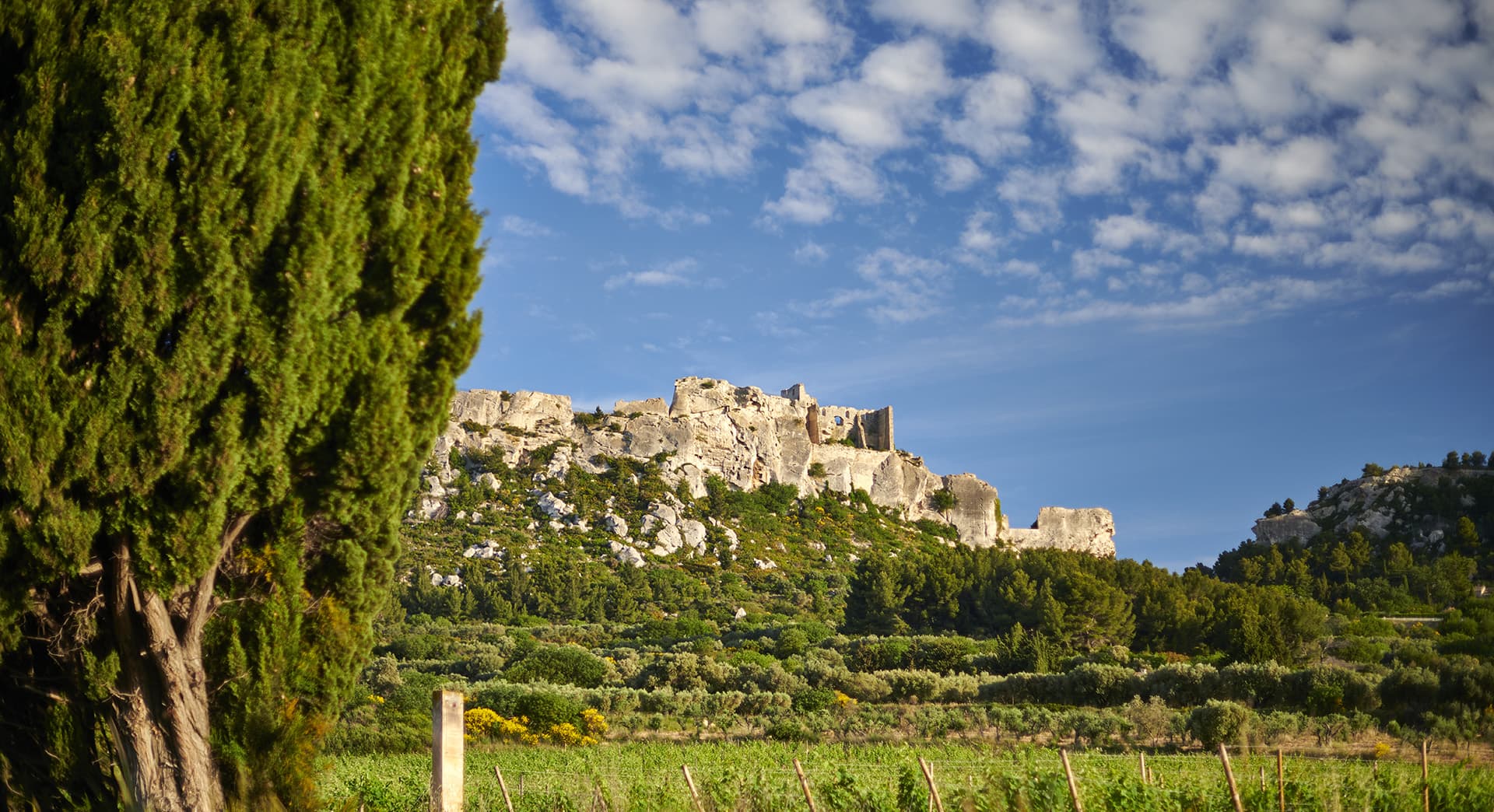 Mas Sainte Berthe_Les Baux-de-Provence