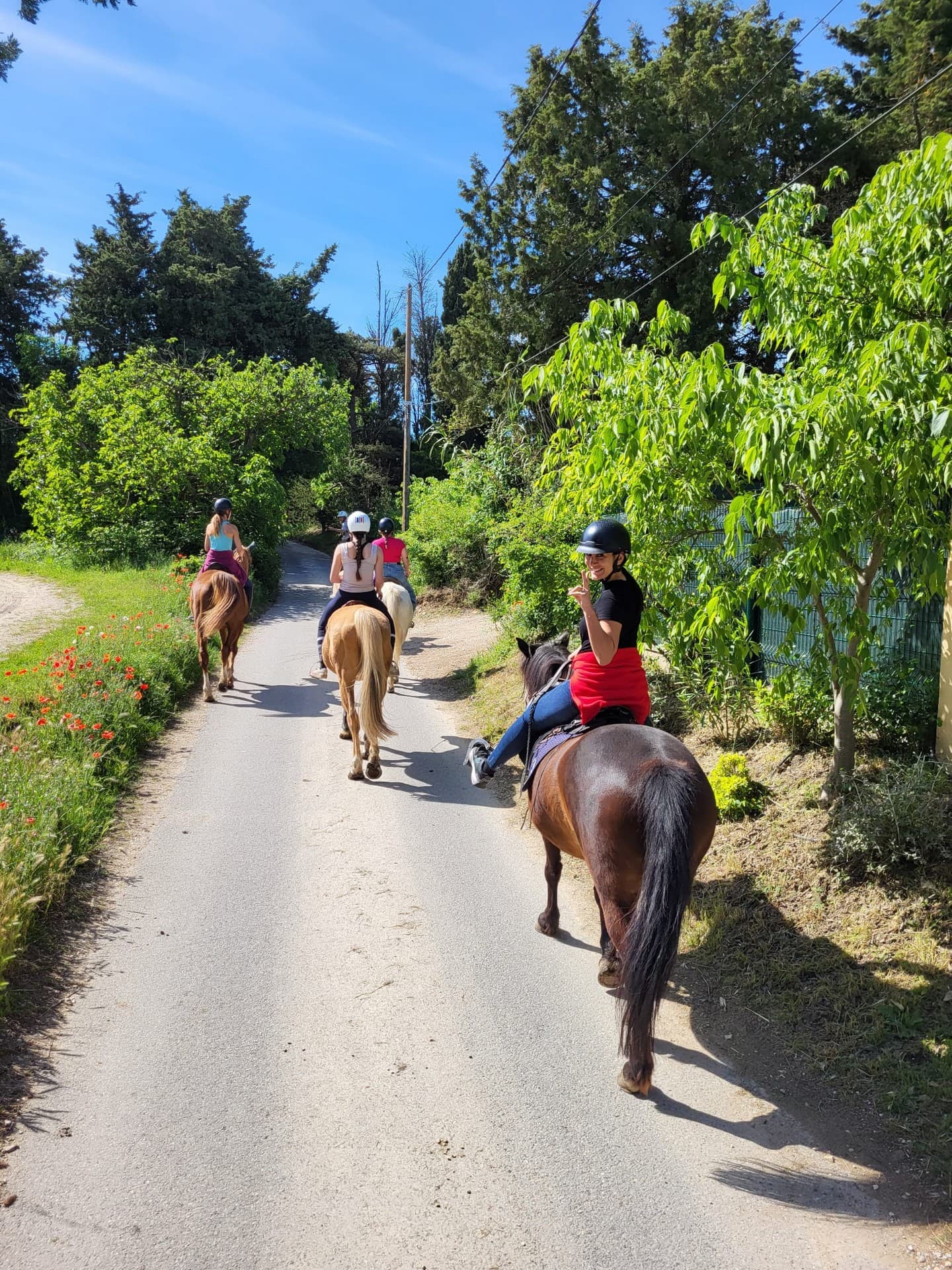 Chev'Alpilles - Balade à cheval à Saint-Rémy-de-Provence