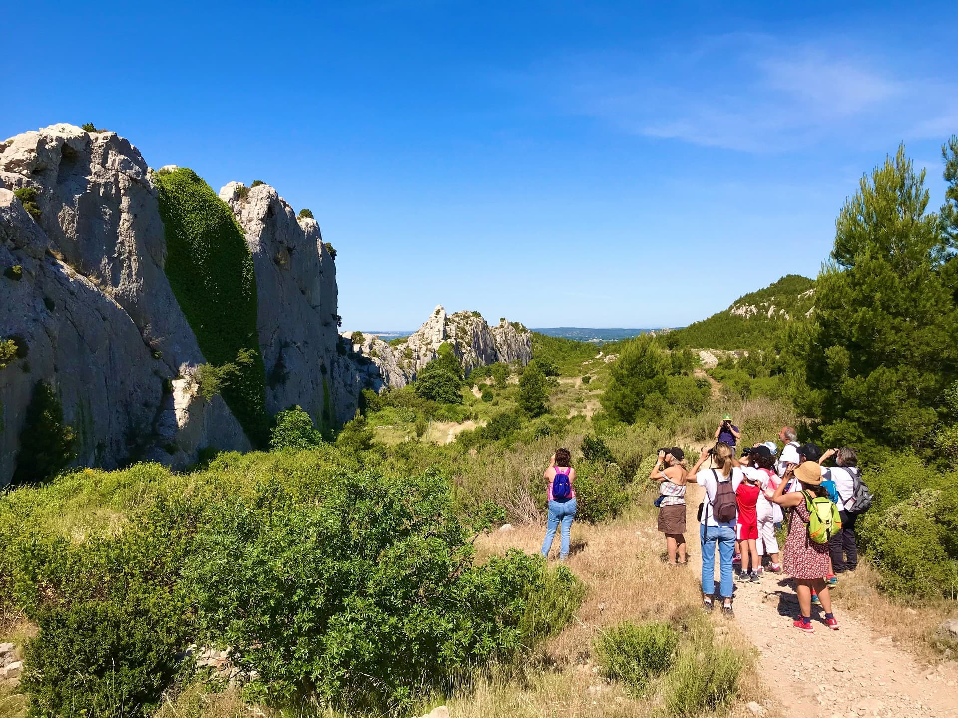 Sortie naturaliste avec la guide Cécile Beillieu