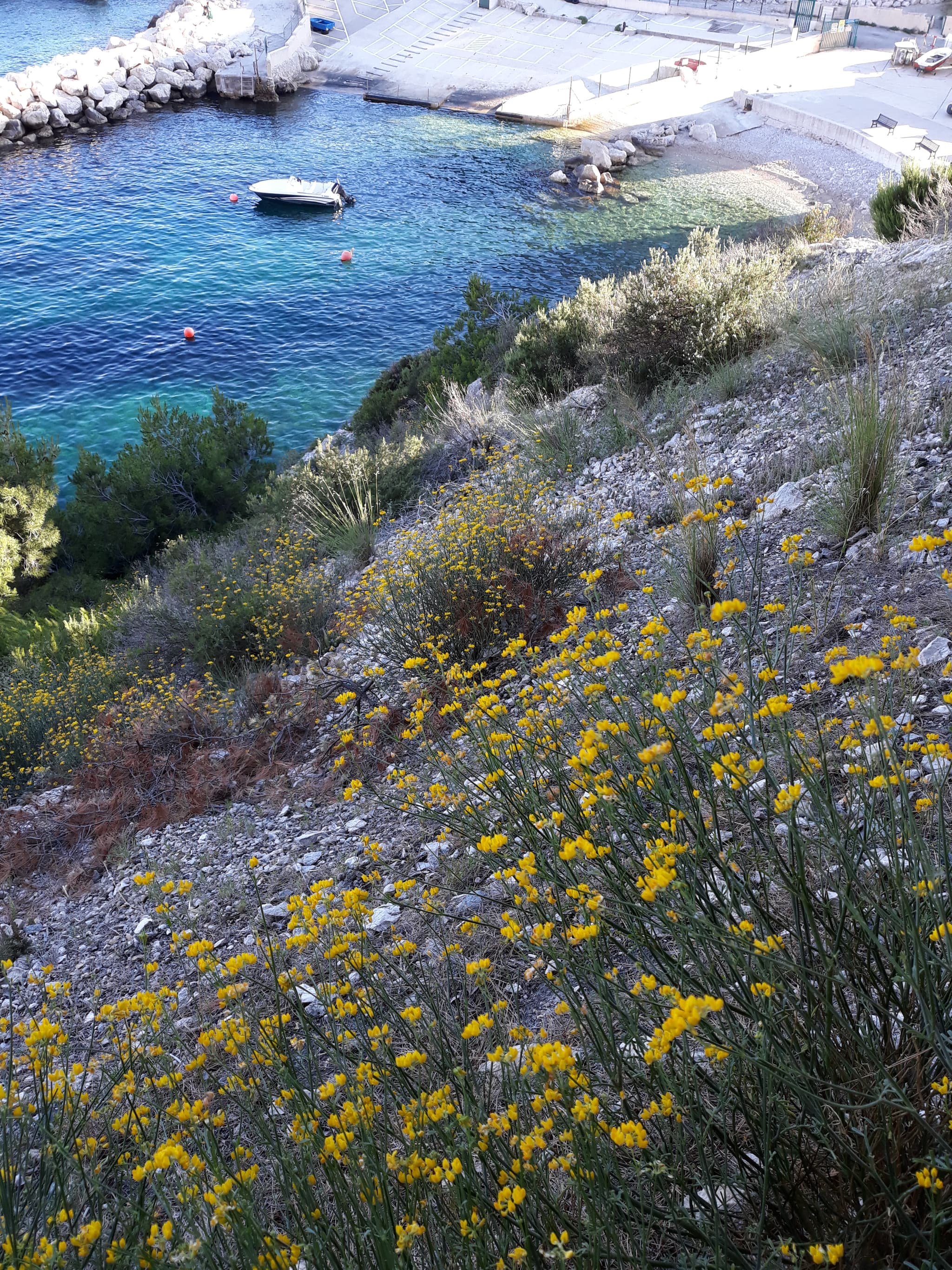 L'Esprit Calanque