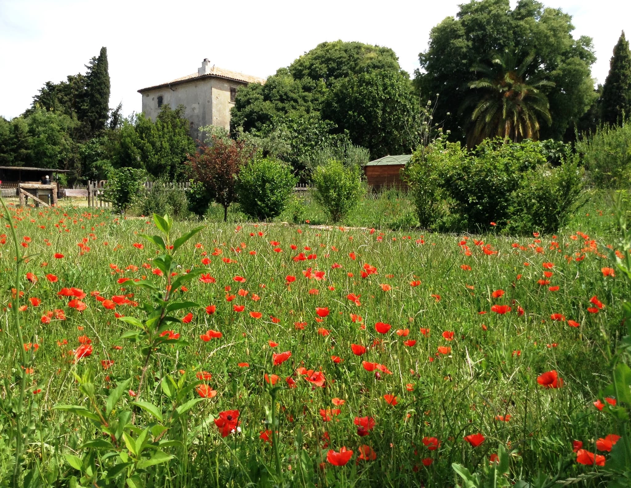 Bastide Marin