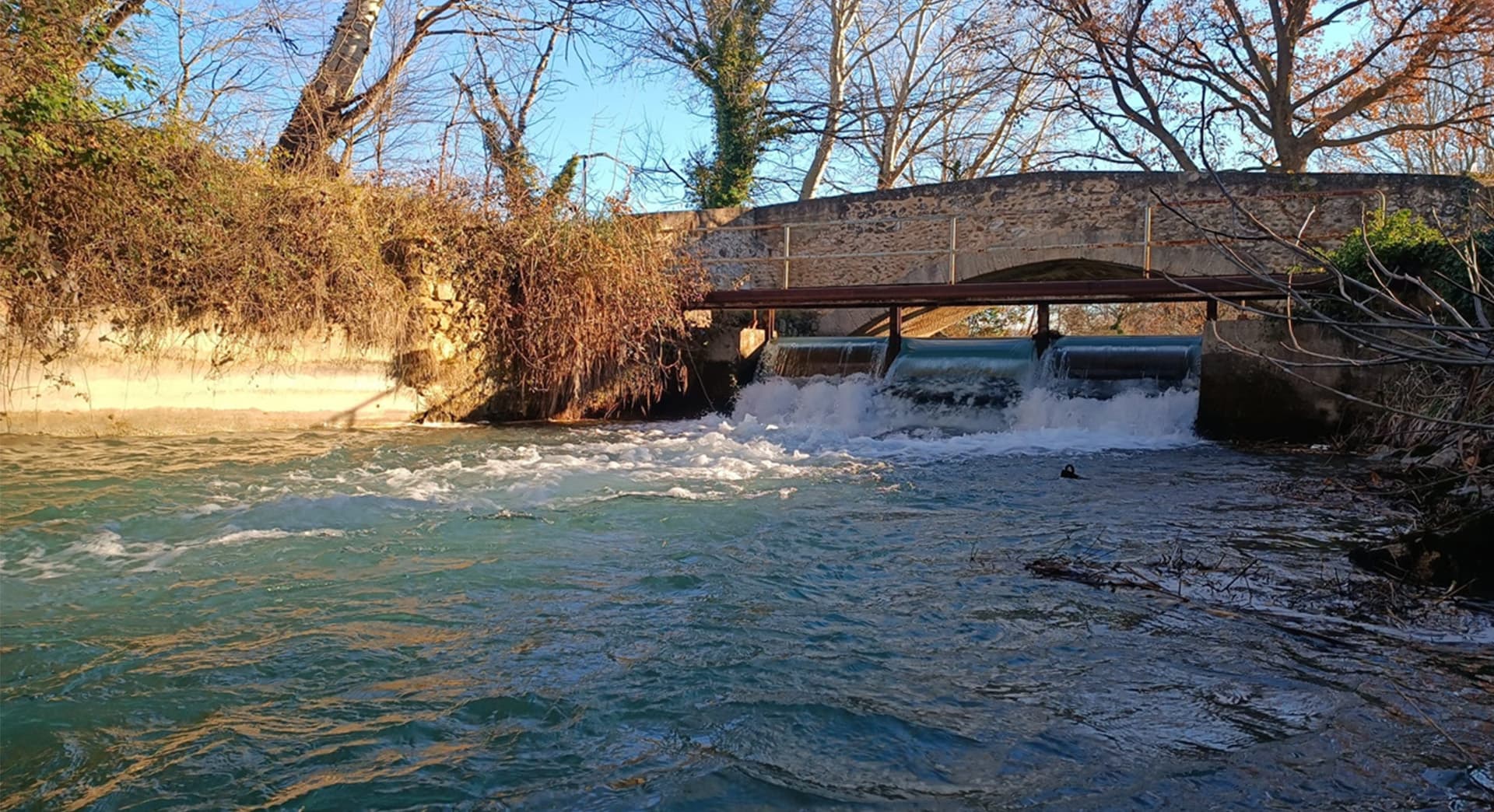 Le canal des Alpines_Mas-Blanc-des-Alpilles
