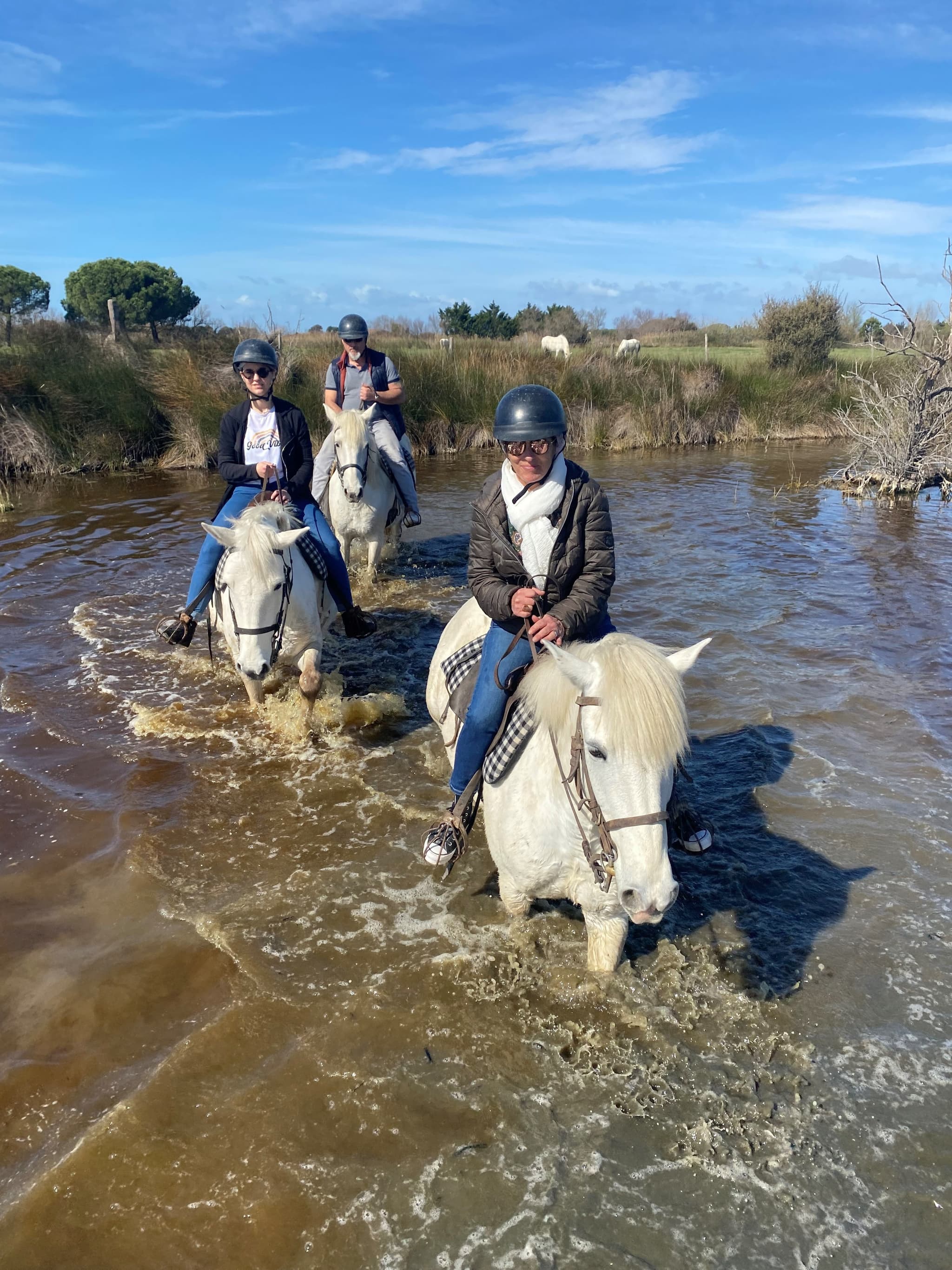 Promenades à cheval - Layalle