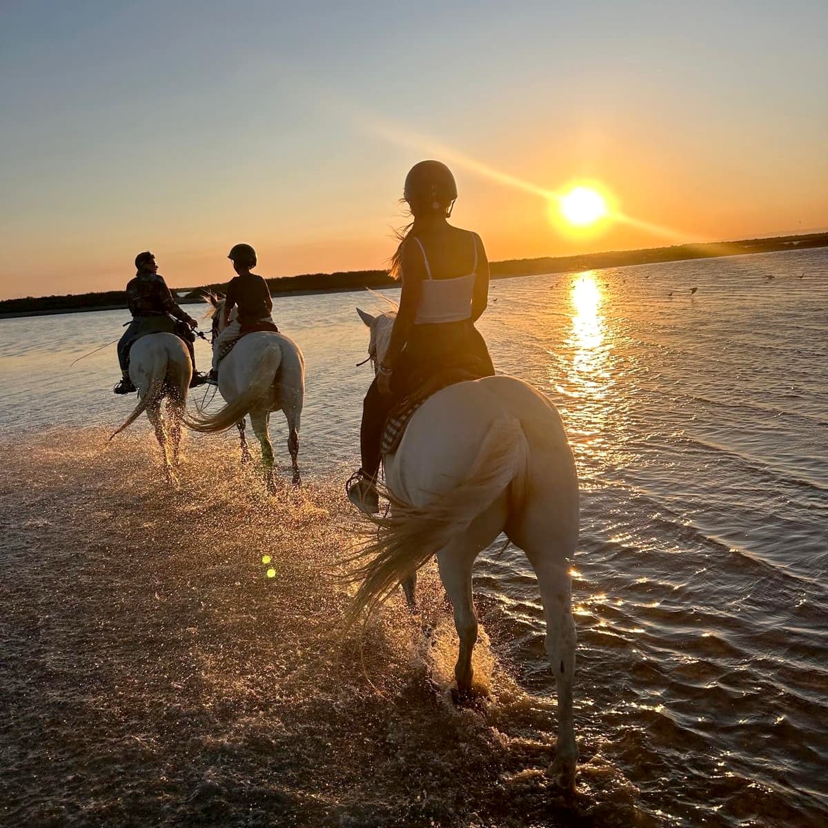 Promenade à cheval la Fadaise_Saintes-Maries-de-la-Mer