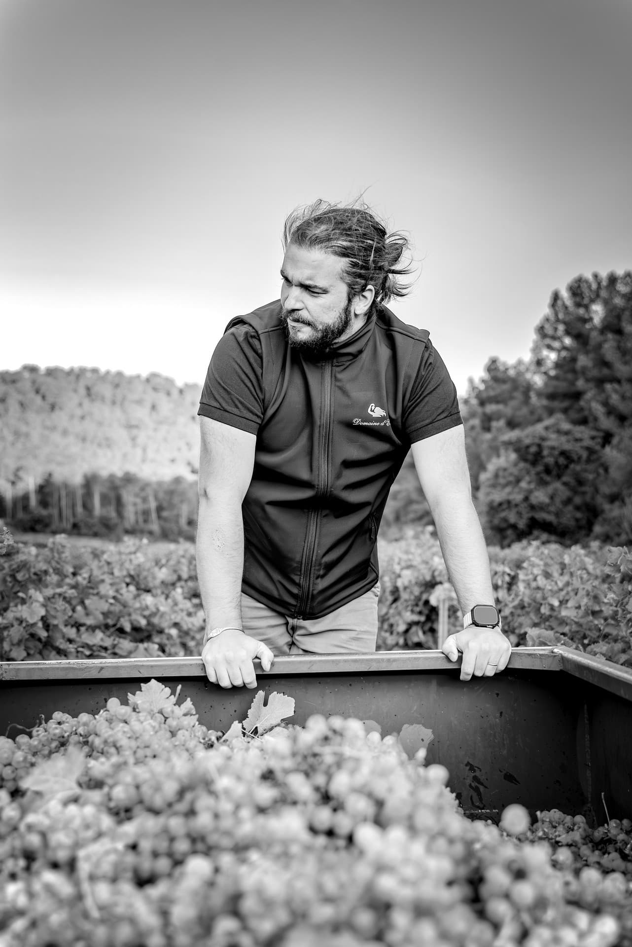 Domaine d'Eole à Eygalières Oenologue