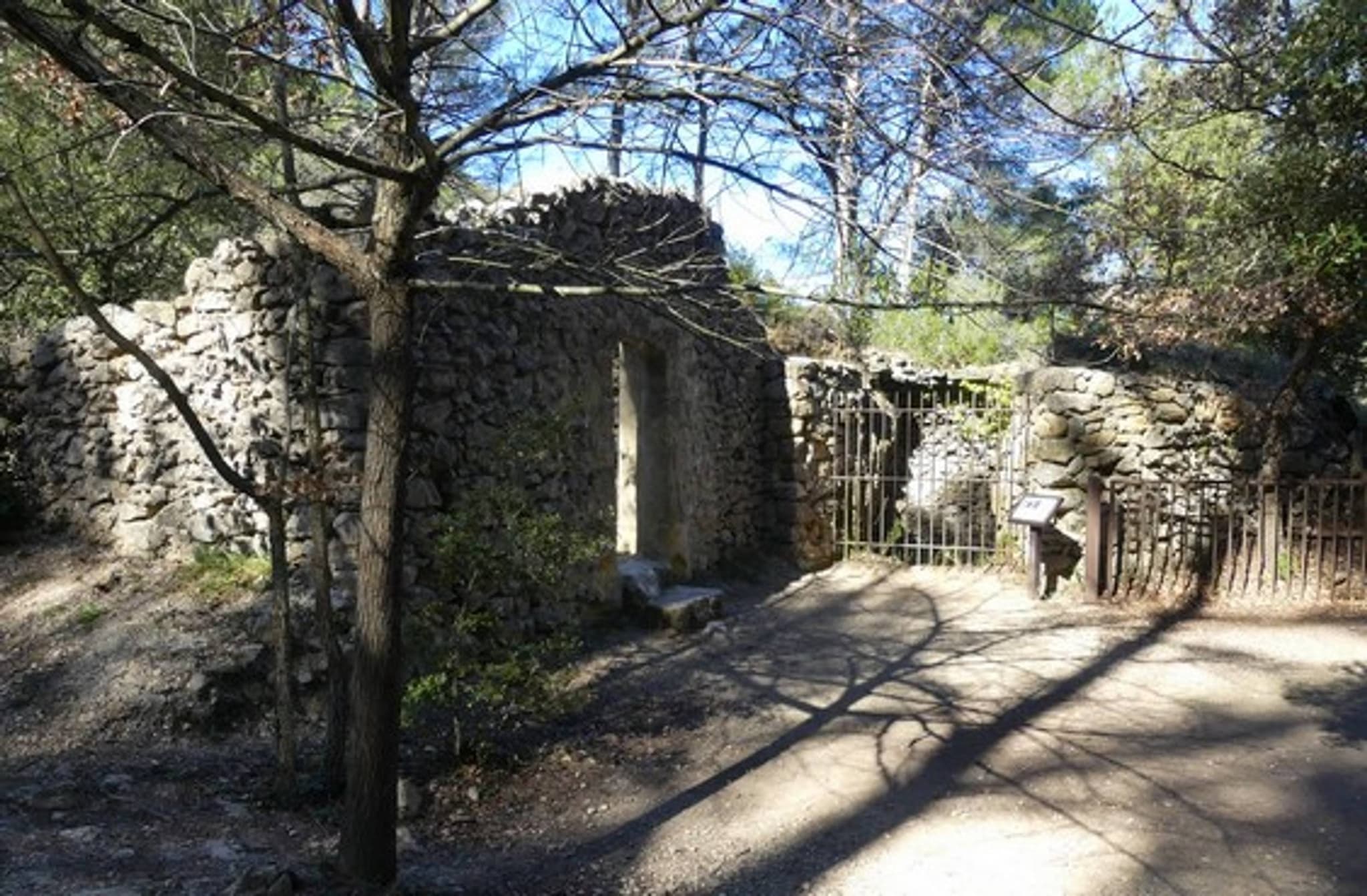 AURIOL - Le bois de la Lare