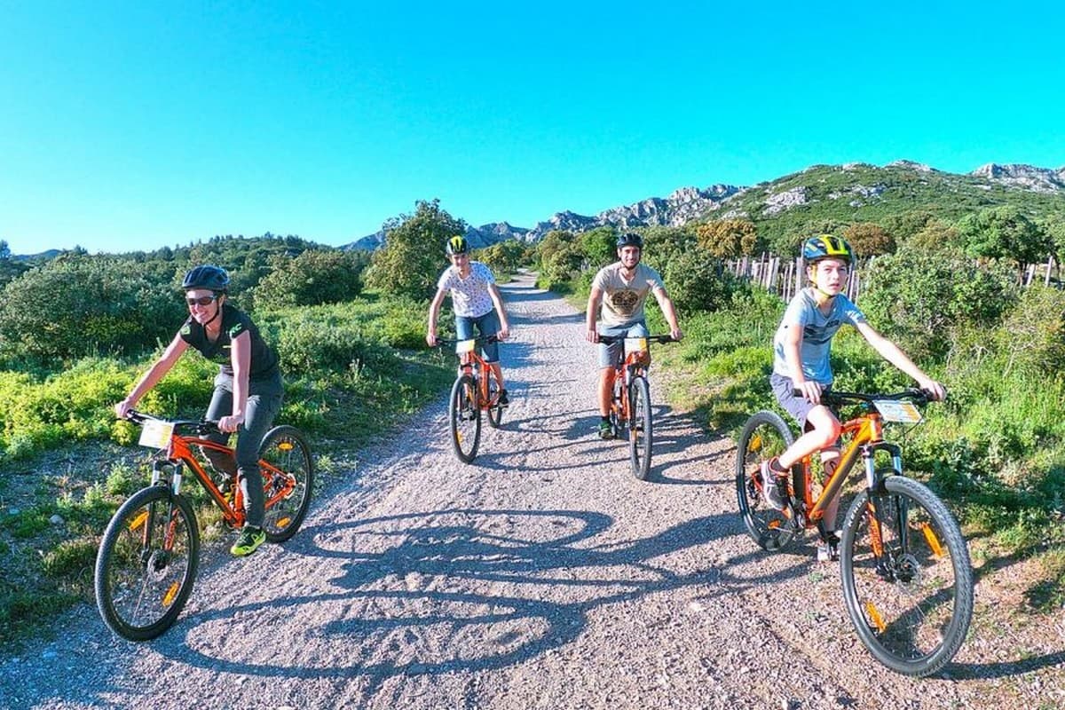 Panorama_des_alpilles-groupe