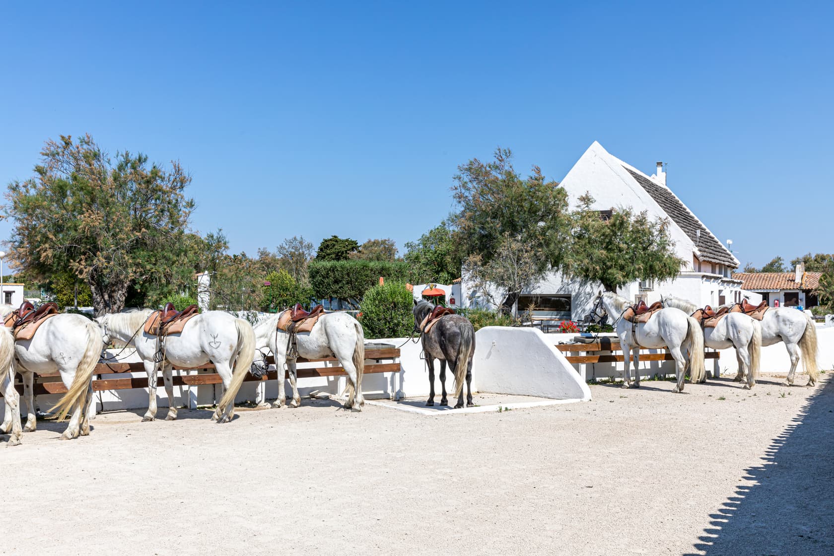 L'écurie de l'Auberge Cavalière