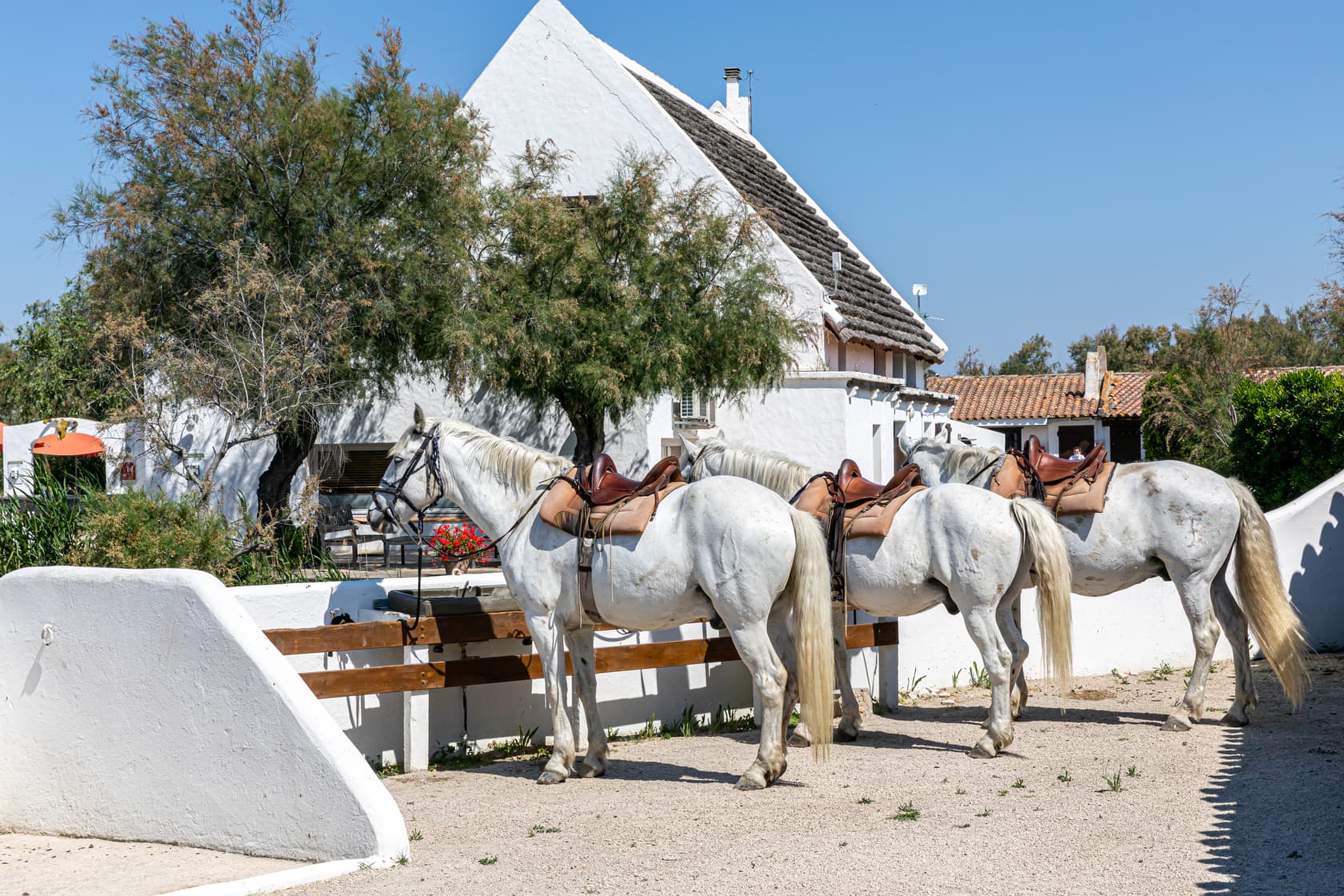 L'écurie de l'Auberge Cavalière