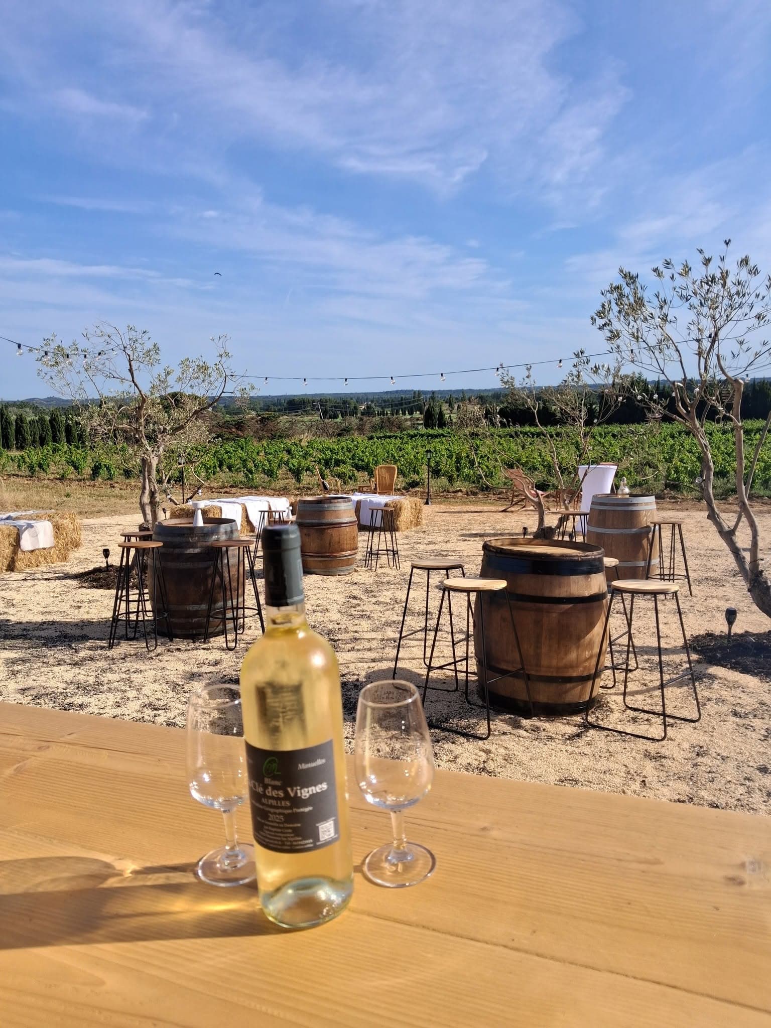 La guinguette du Vigneron « Ma Clé des Vignes » à Maussane_Maussane-les-Alpilles