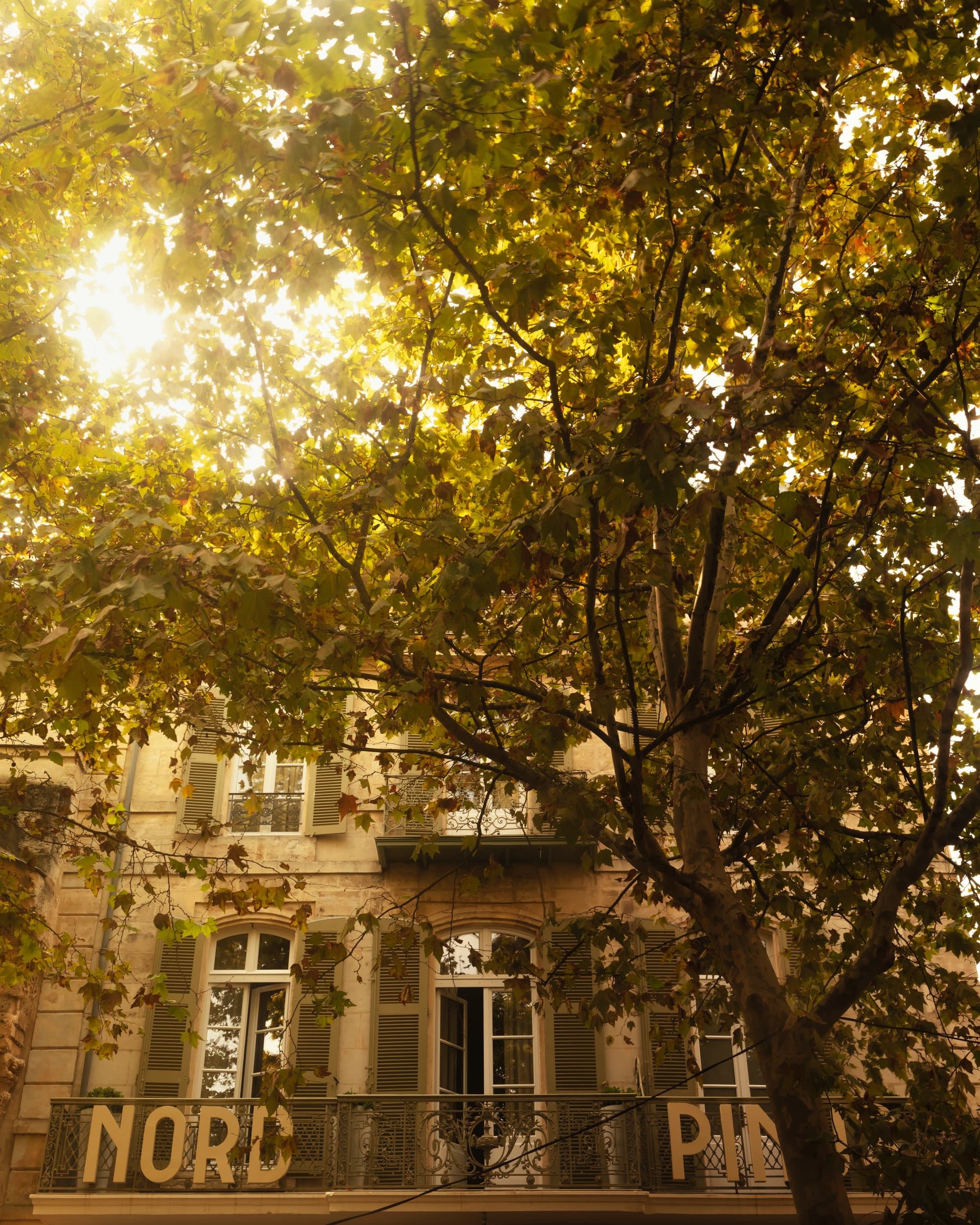 Façade Place du Forum