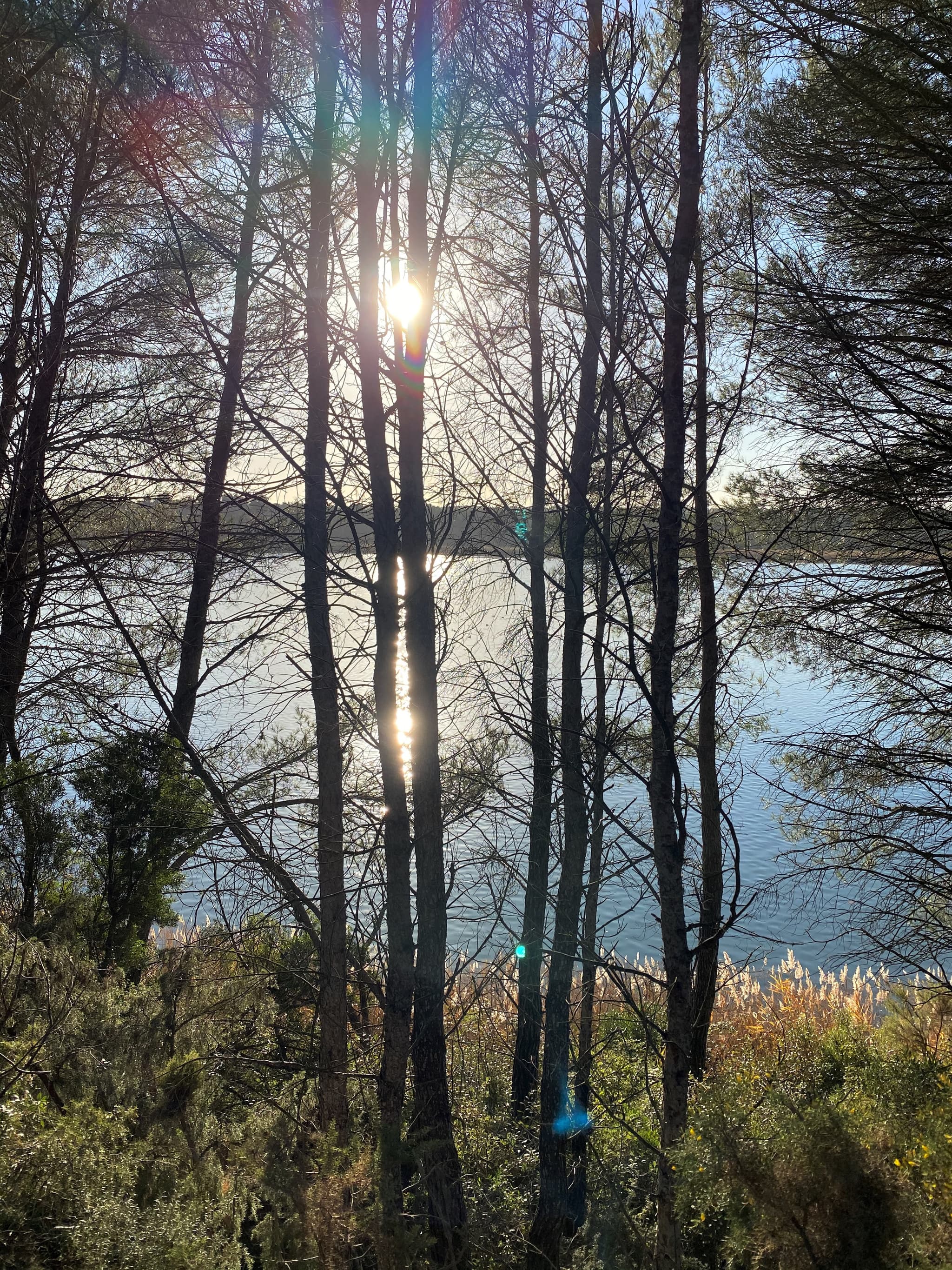 Lac à proximité