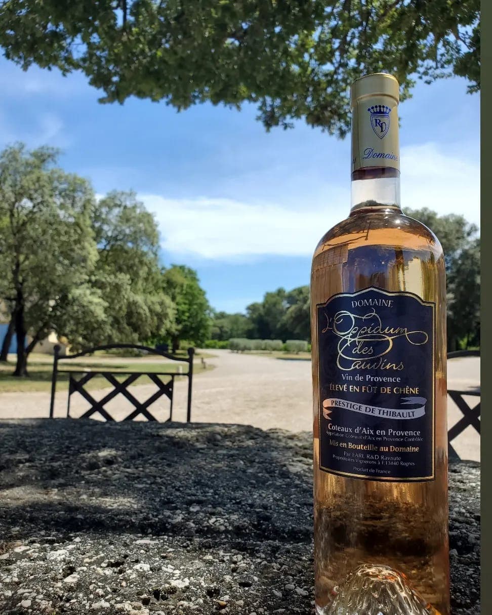 Domaine l'Oppidum des Cauvins