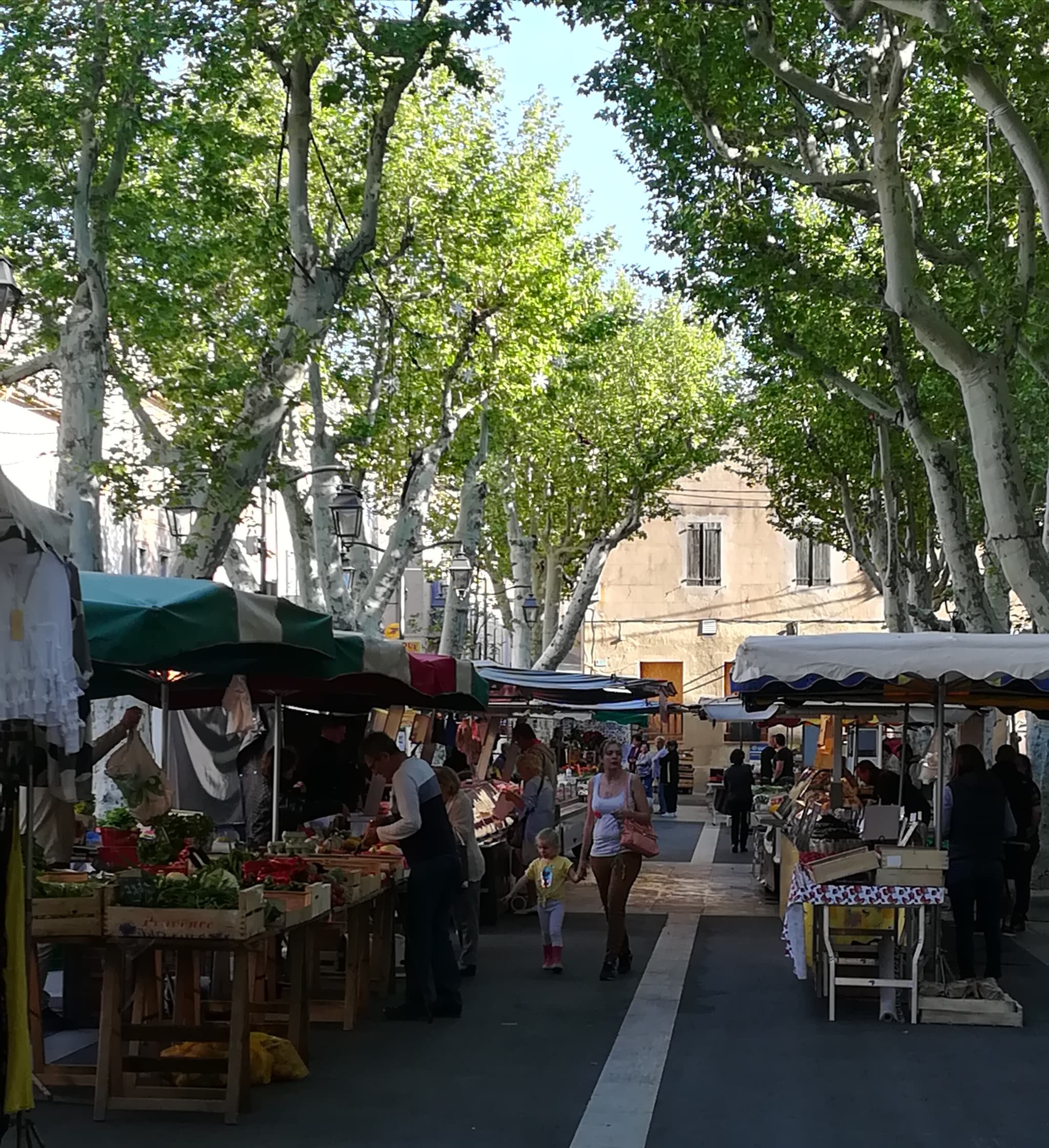 cours Victor Leydet