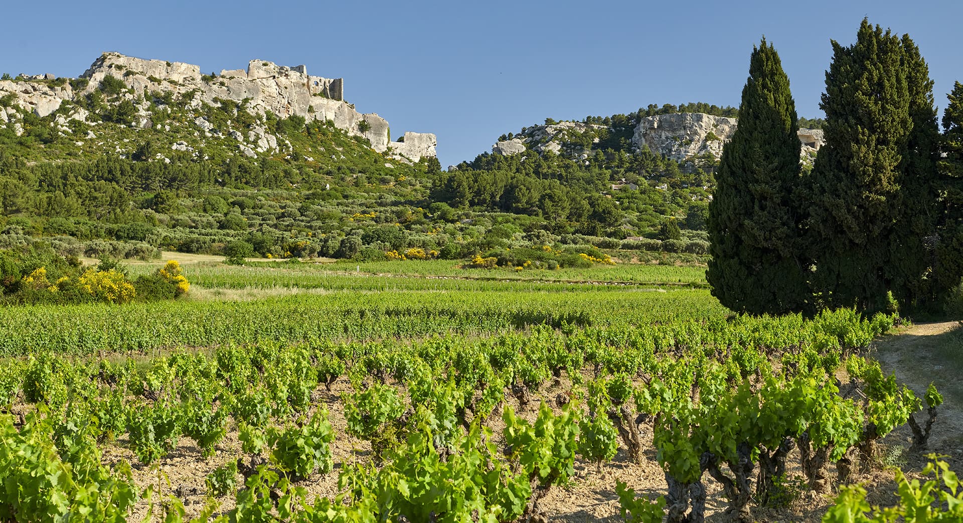 Mas Sainte Berthe_Les Baux-de-Provence