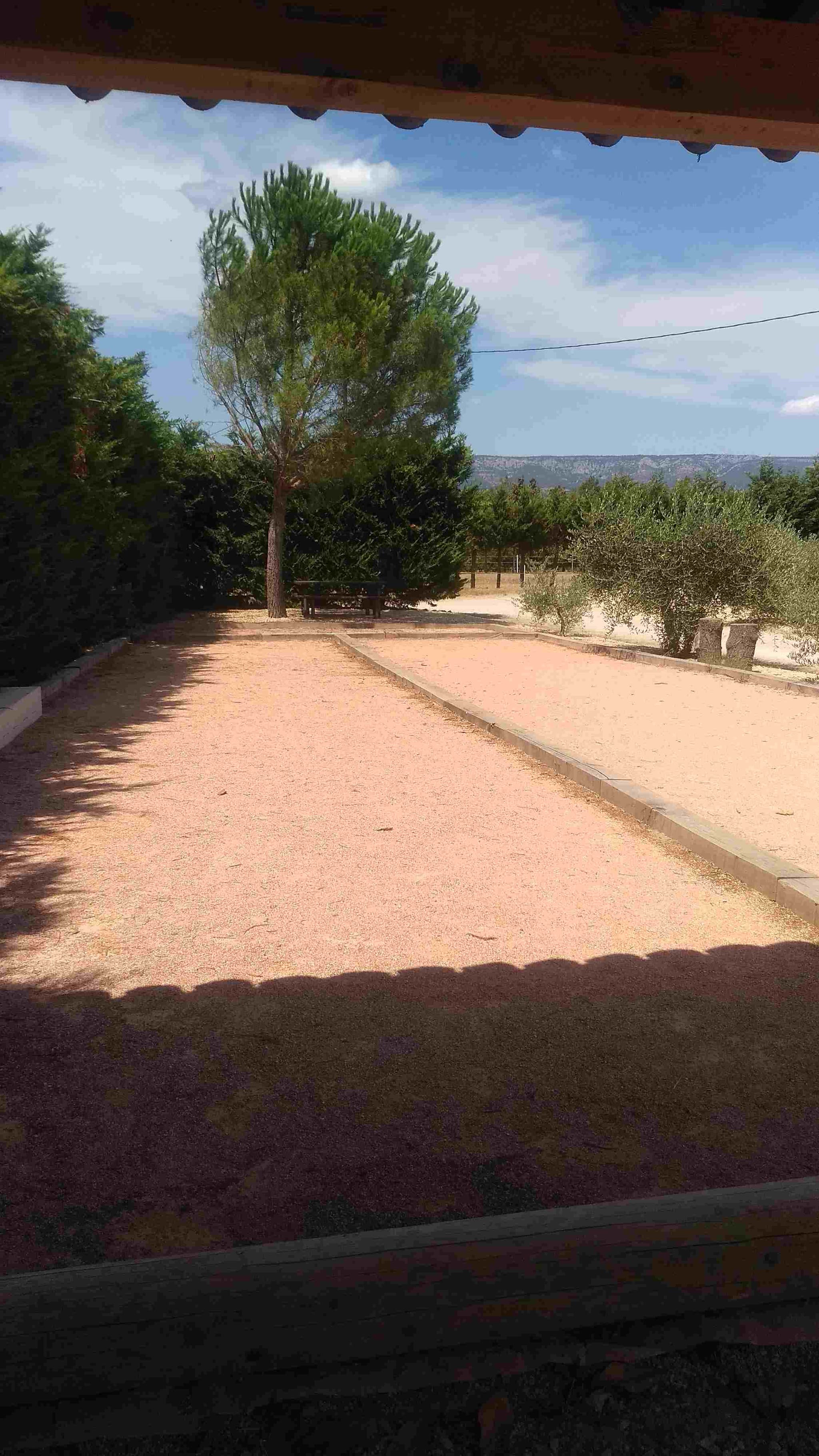 Le cigalon
