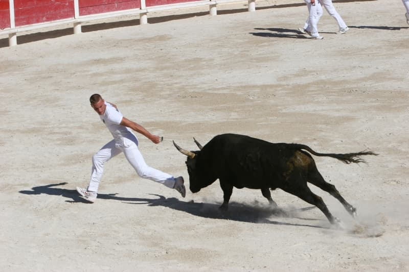 Journée camarguaise organisée le club taurin Mireille_Saintes-Maries-de-la-Mer