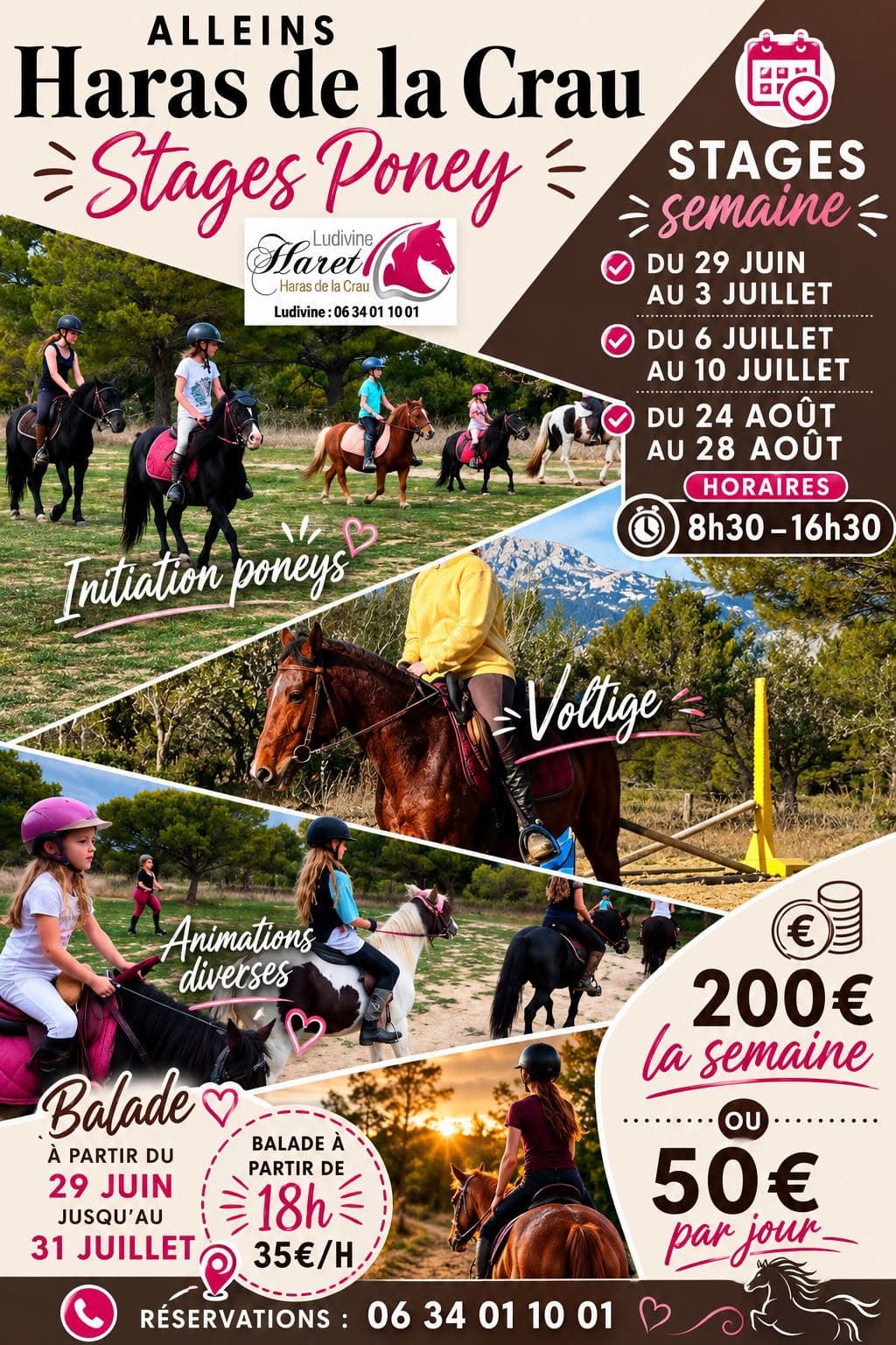 Stages poney au Haras de la Crau_Alleins