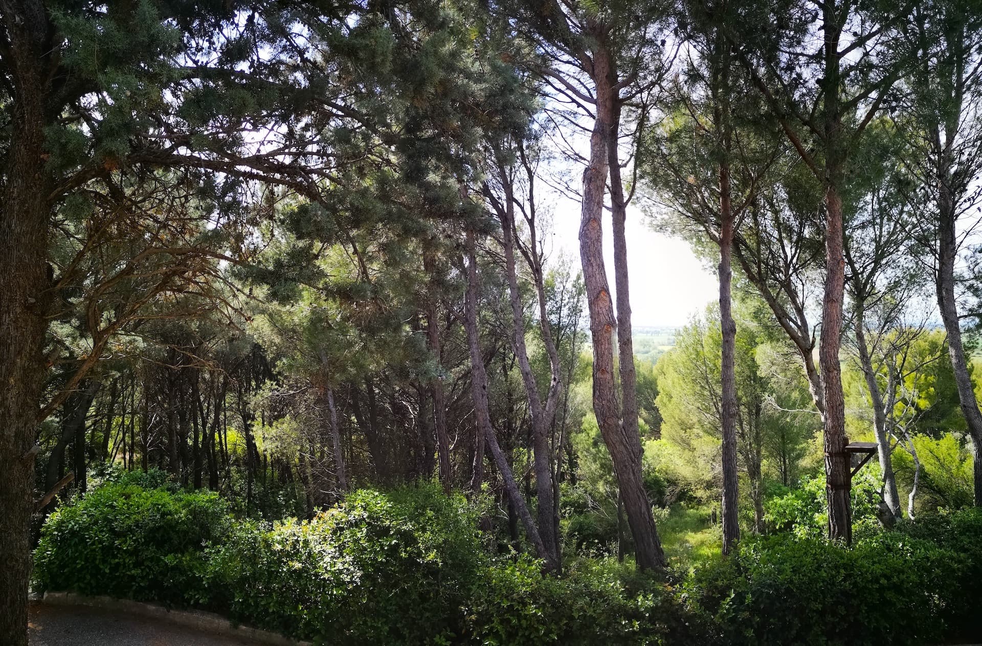 vue du salon de l'appartement