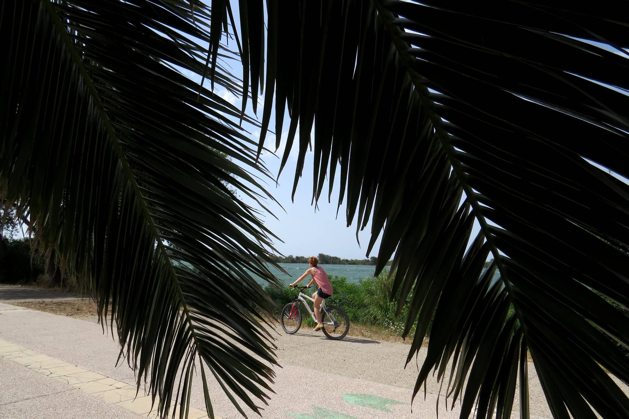 SALIN-DE-GIRAUD - PORT-SAINT-LOUIS - Sur les rives du Rhône à vélo