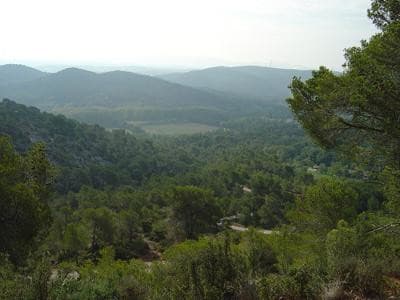 13VIS000393_1_WEB.jpg