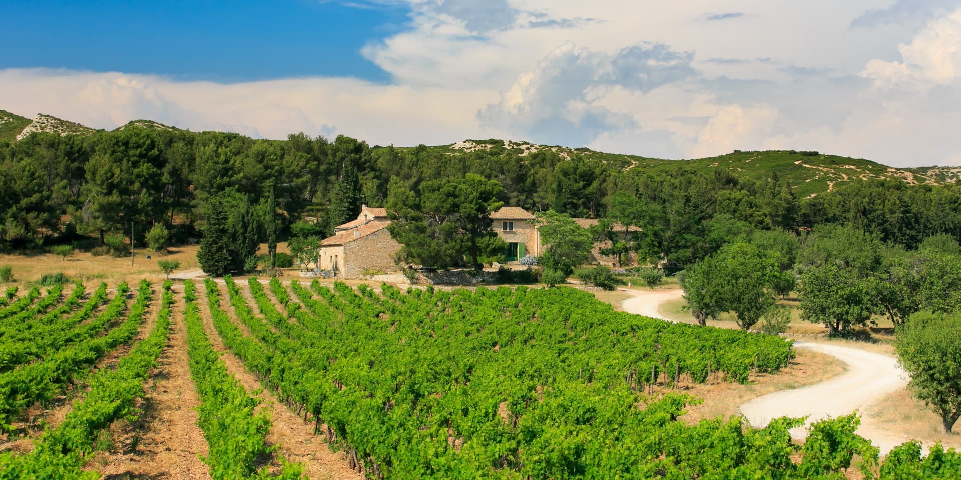 Domaine viticole Mas de Gourgonnier à Mouriès