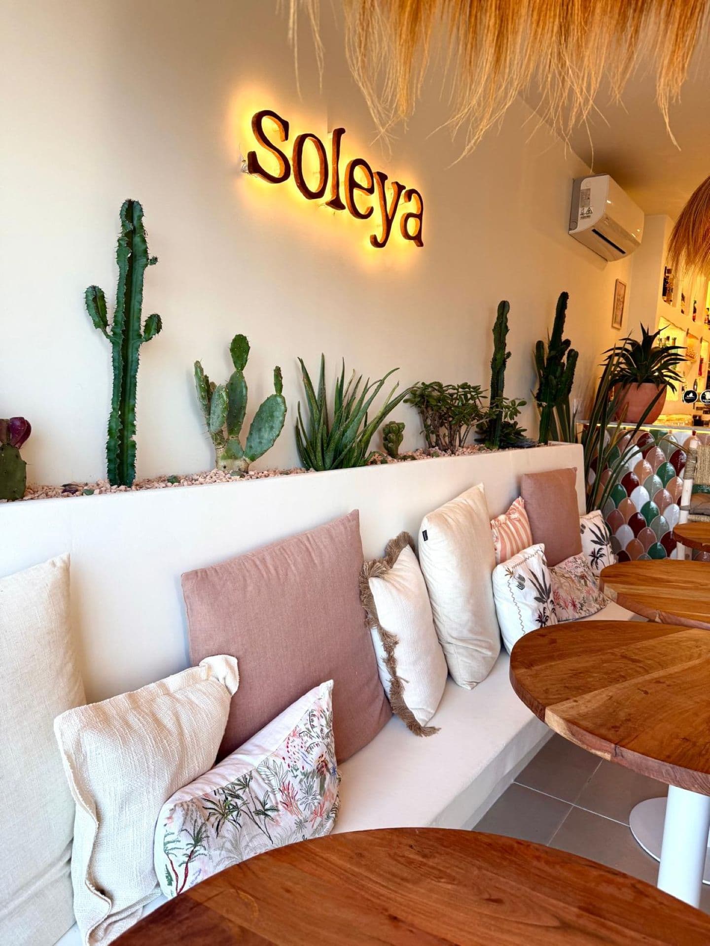 Soleya_La Ciotat