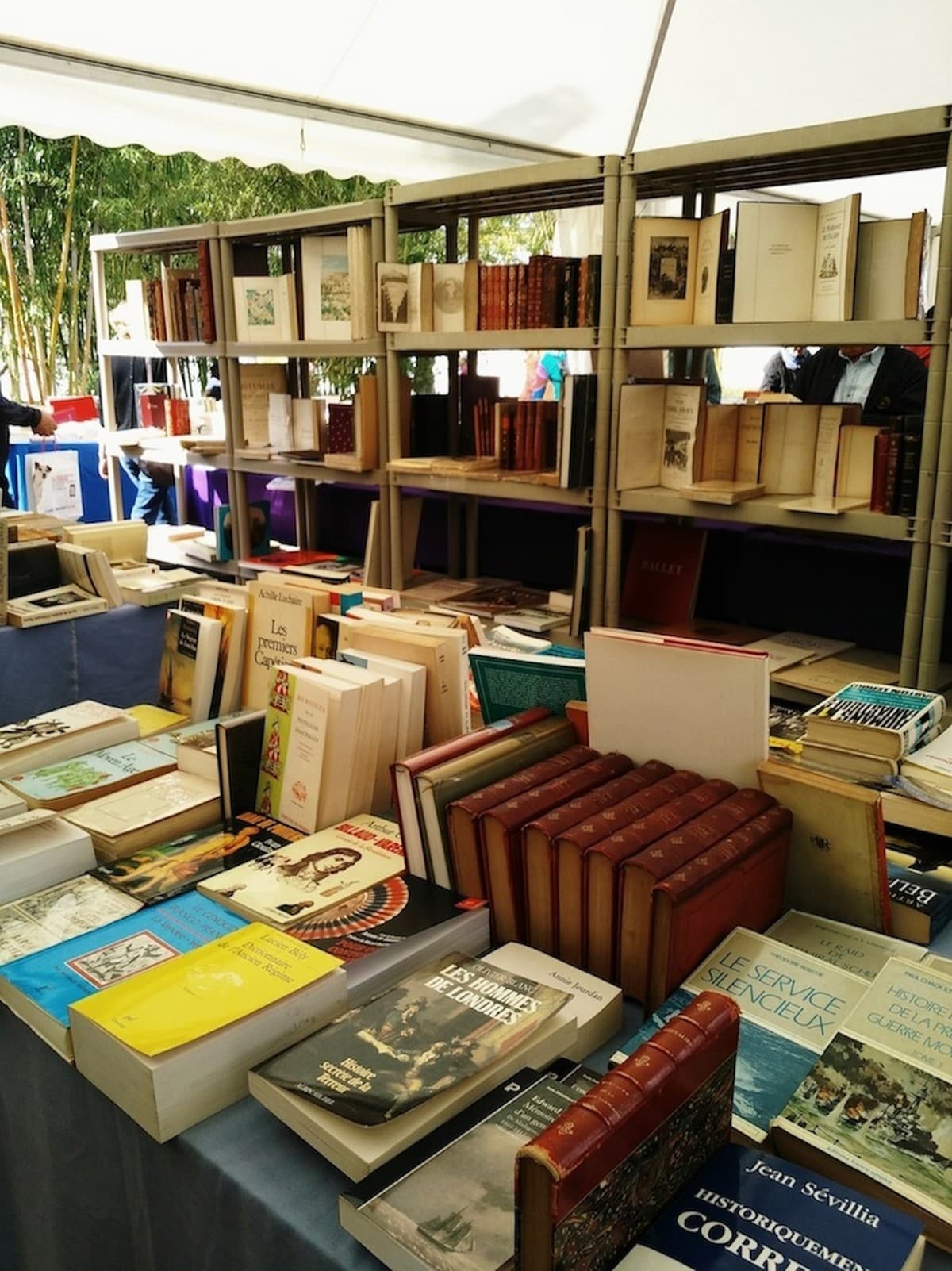 Journée mensuelle du livre ancien et moderne