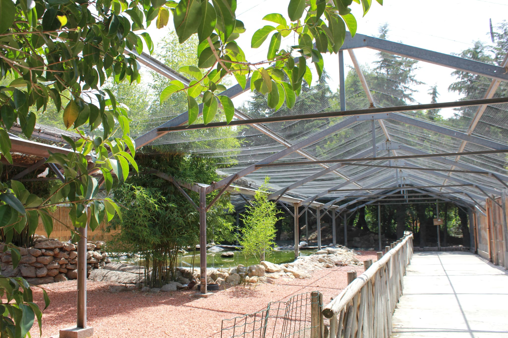 Parc Animalier - L'Arche de Méo
