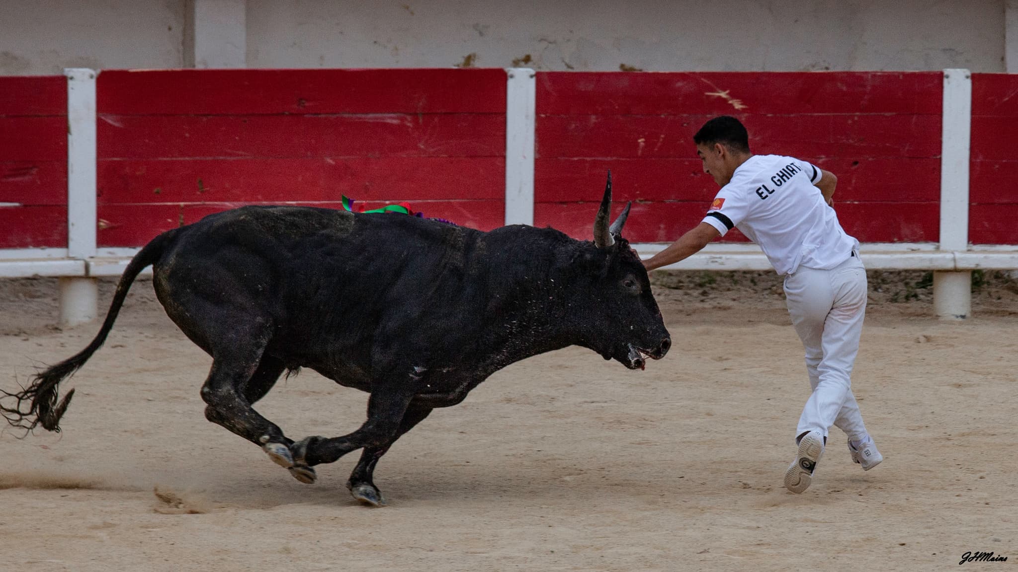 Course camarguaise aux arènes «Finale Trophée de l’Avenir»_Saintes-Maries-de-la-Mer