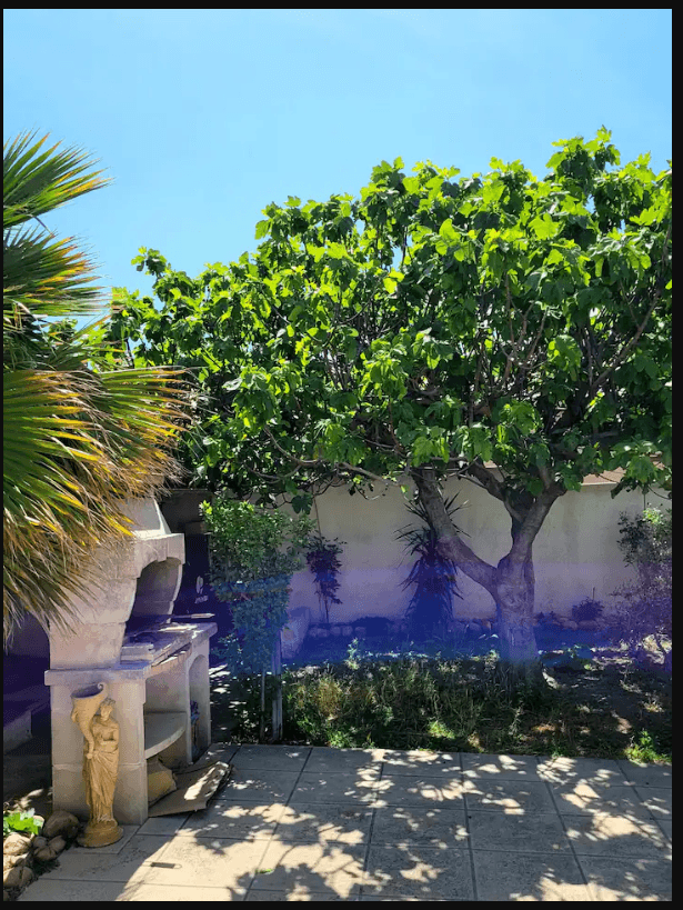 Maison de Jojo_Istres