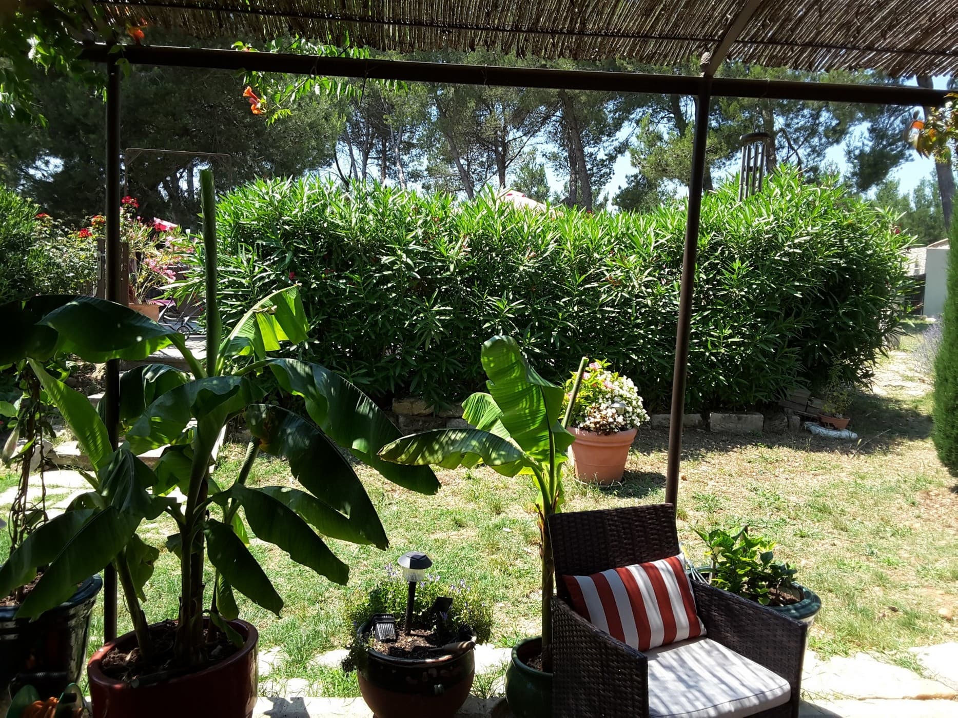 Mas Clair de Lune terrasse
