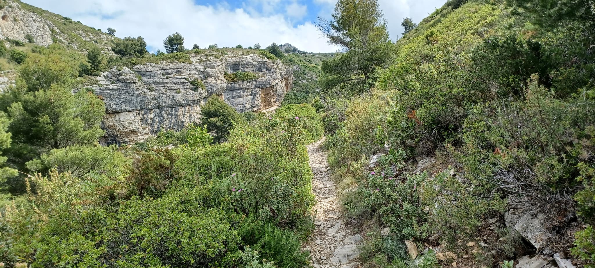 A fond les vallons
